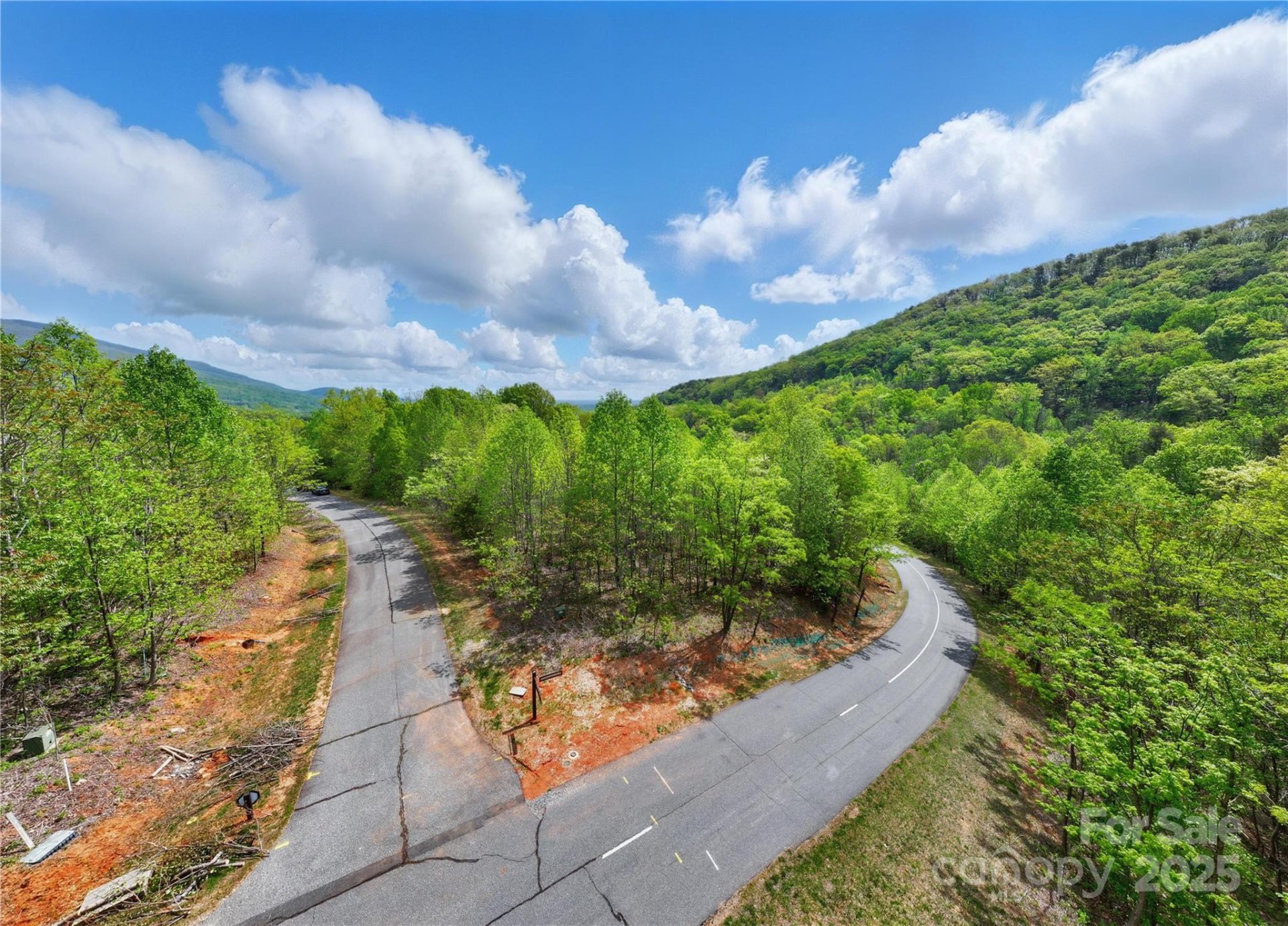 Property image 3 at Lot 2049 Deep Gap Farm Road, Mill Spring, NC 28756