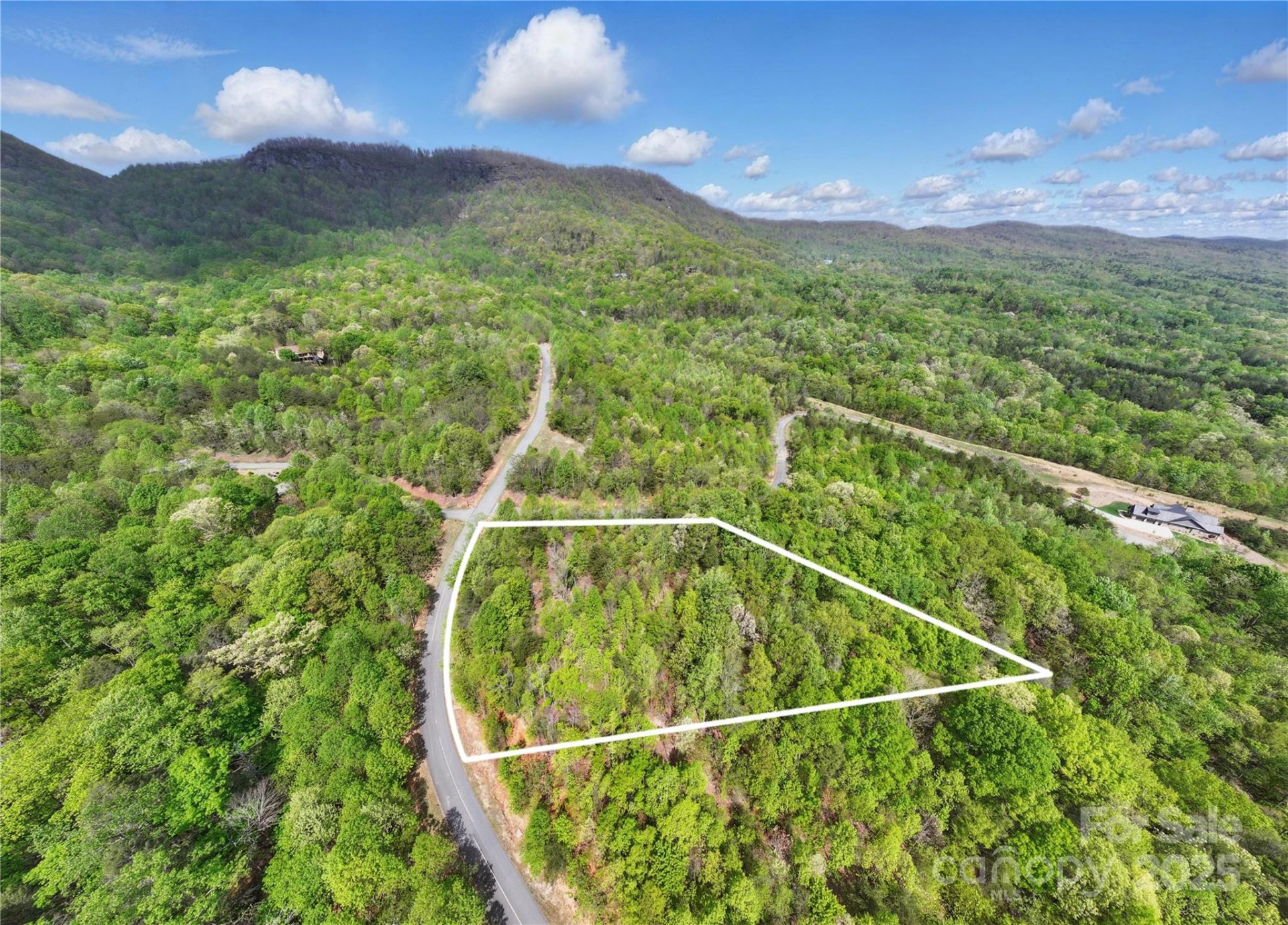 Property image 4 at Lot 2049 Deep Gap Farm Road, Mill Spring, NC 28756
