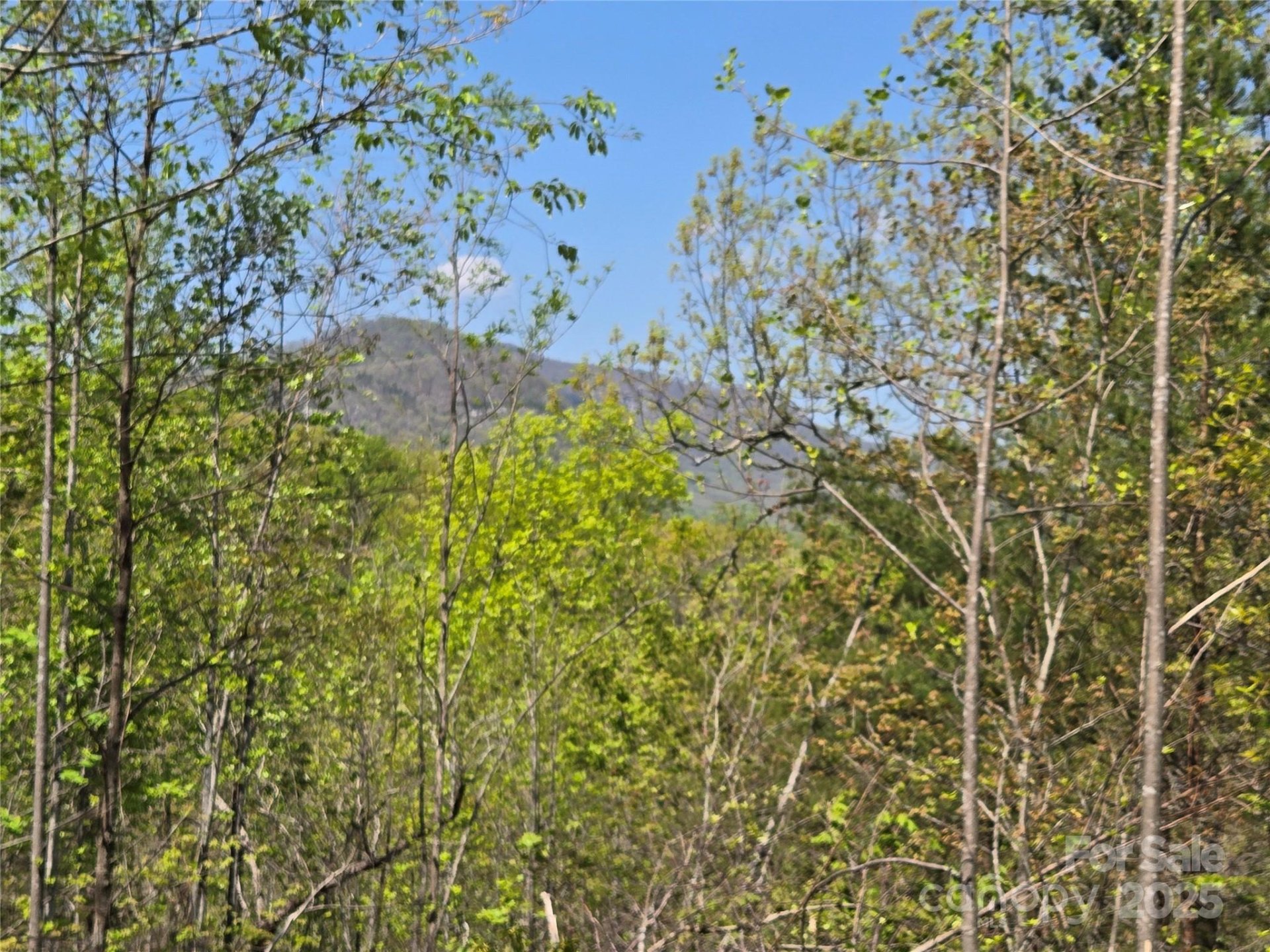 Property image 3 at Lot 35 High Rock Ridge, Lake Lure, NC 28746