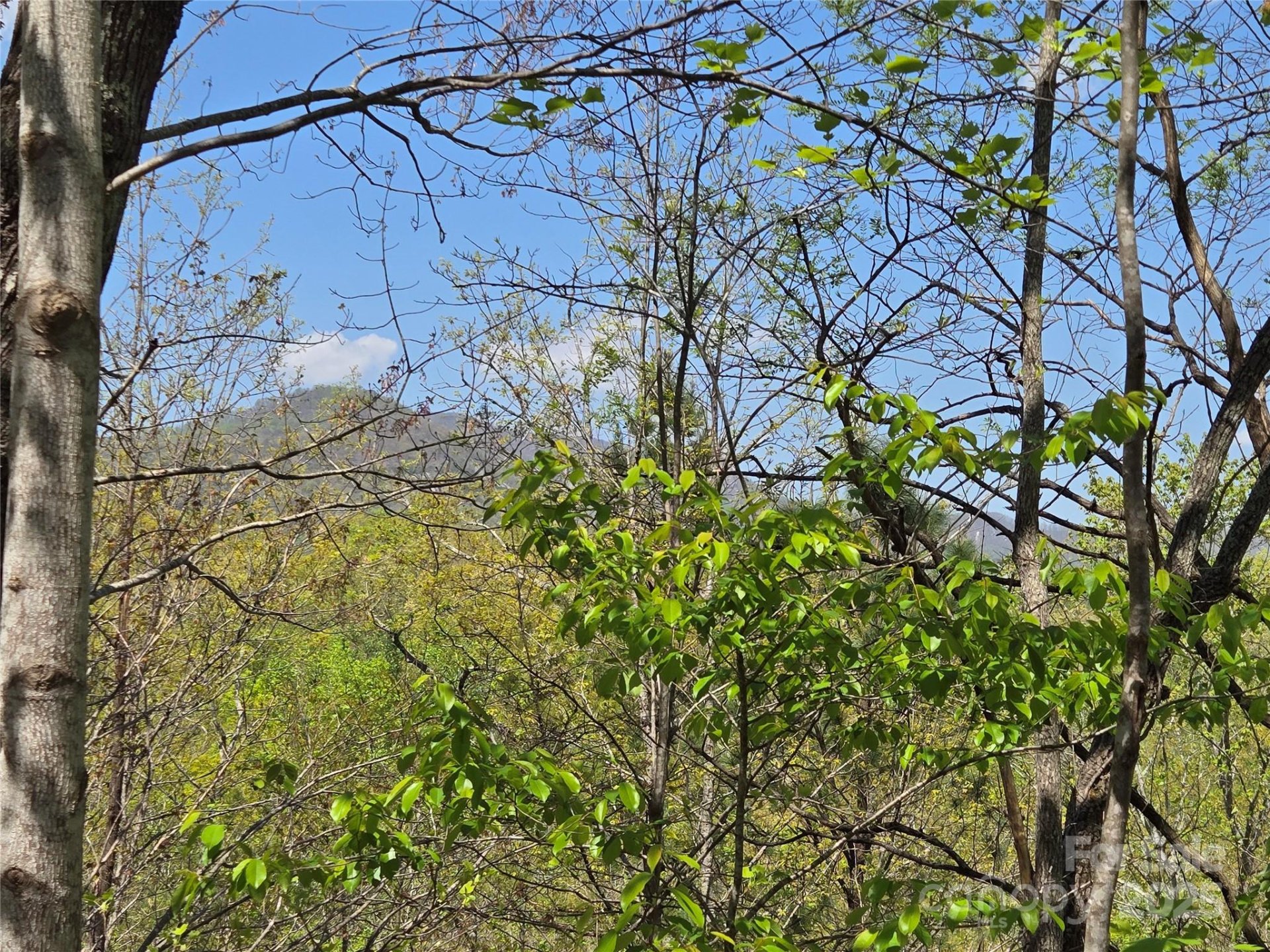 Property image 5 at Lot 35 High Rock Ridge, Lake Lure, NC 28746