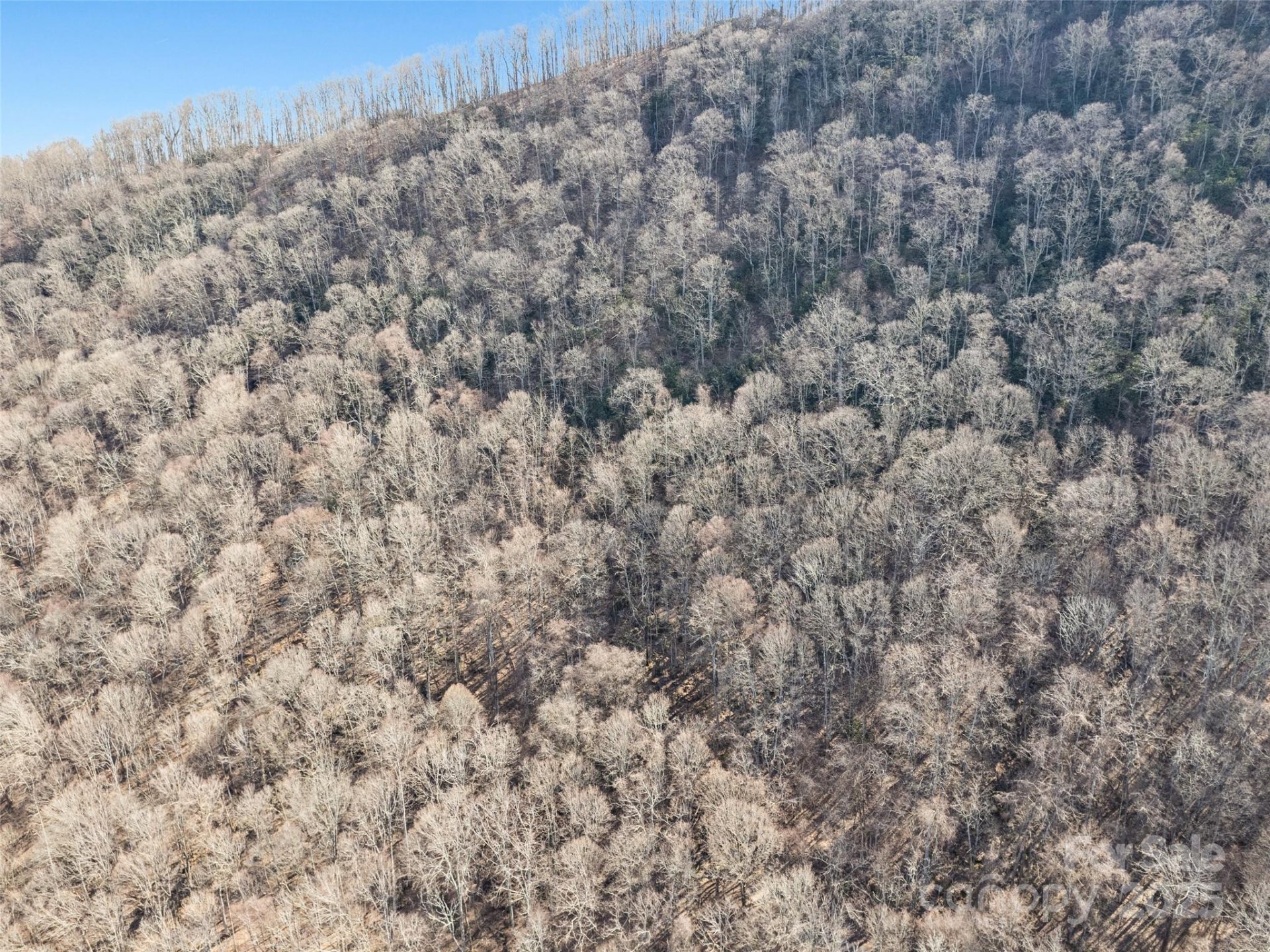 Property image 2 at 00 Apple Creek Road, Waynesville, NC 28786