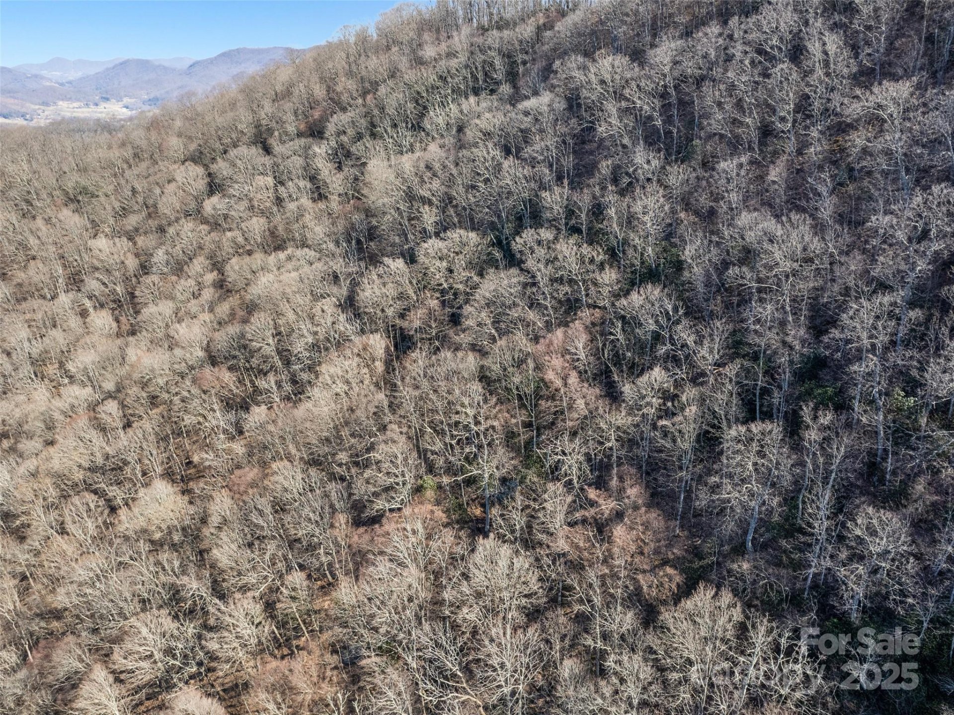 Property image 4 at 00 Apple Creek Road, Waynesville, NC 28786