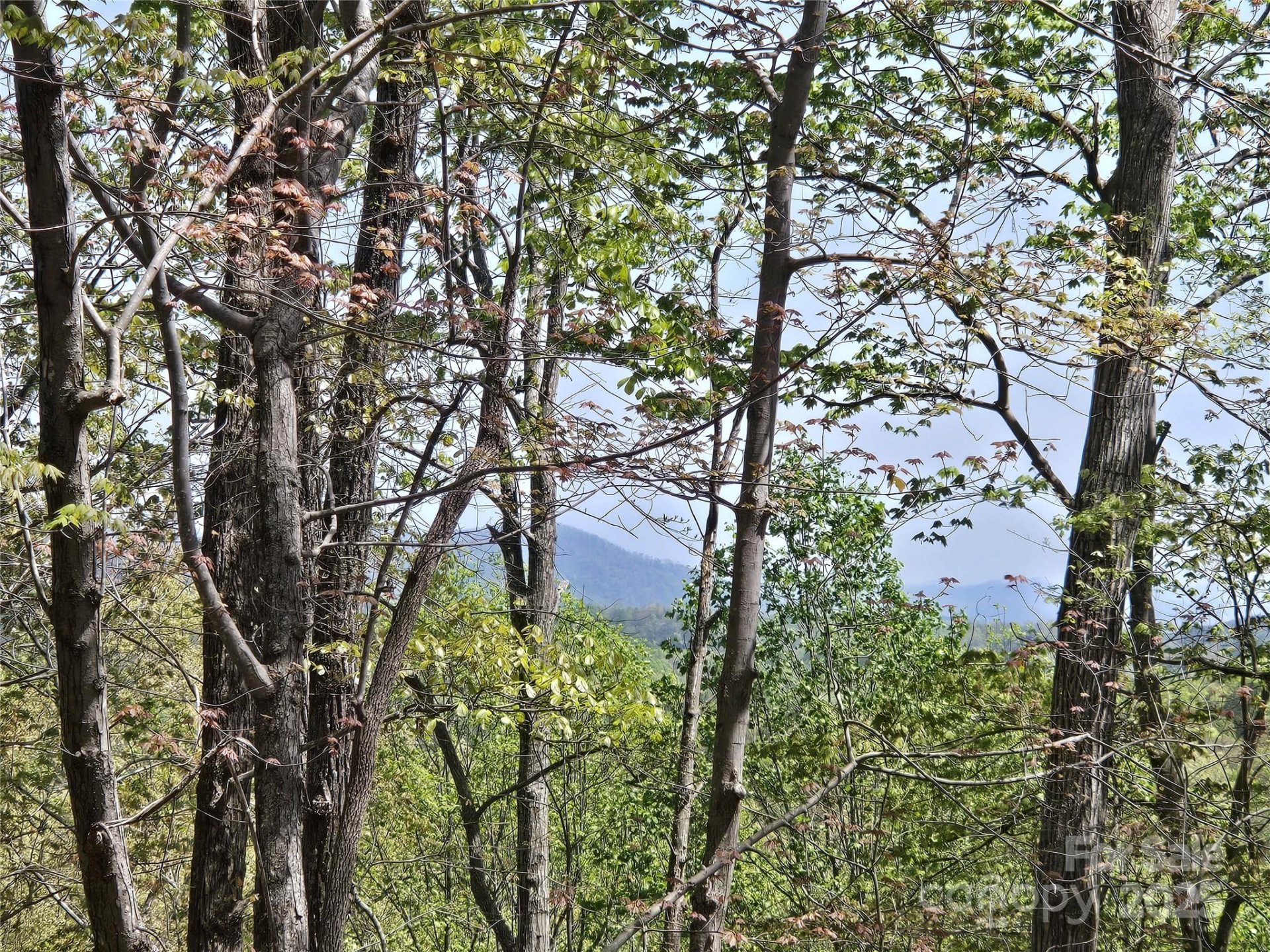 Property image 3 at Lot 36 Turkey Fall Lane, Lake Lure, NC 28746