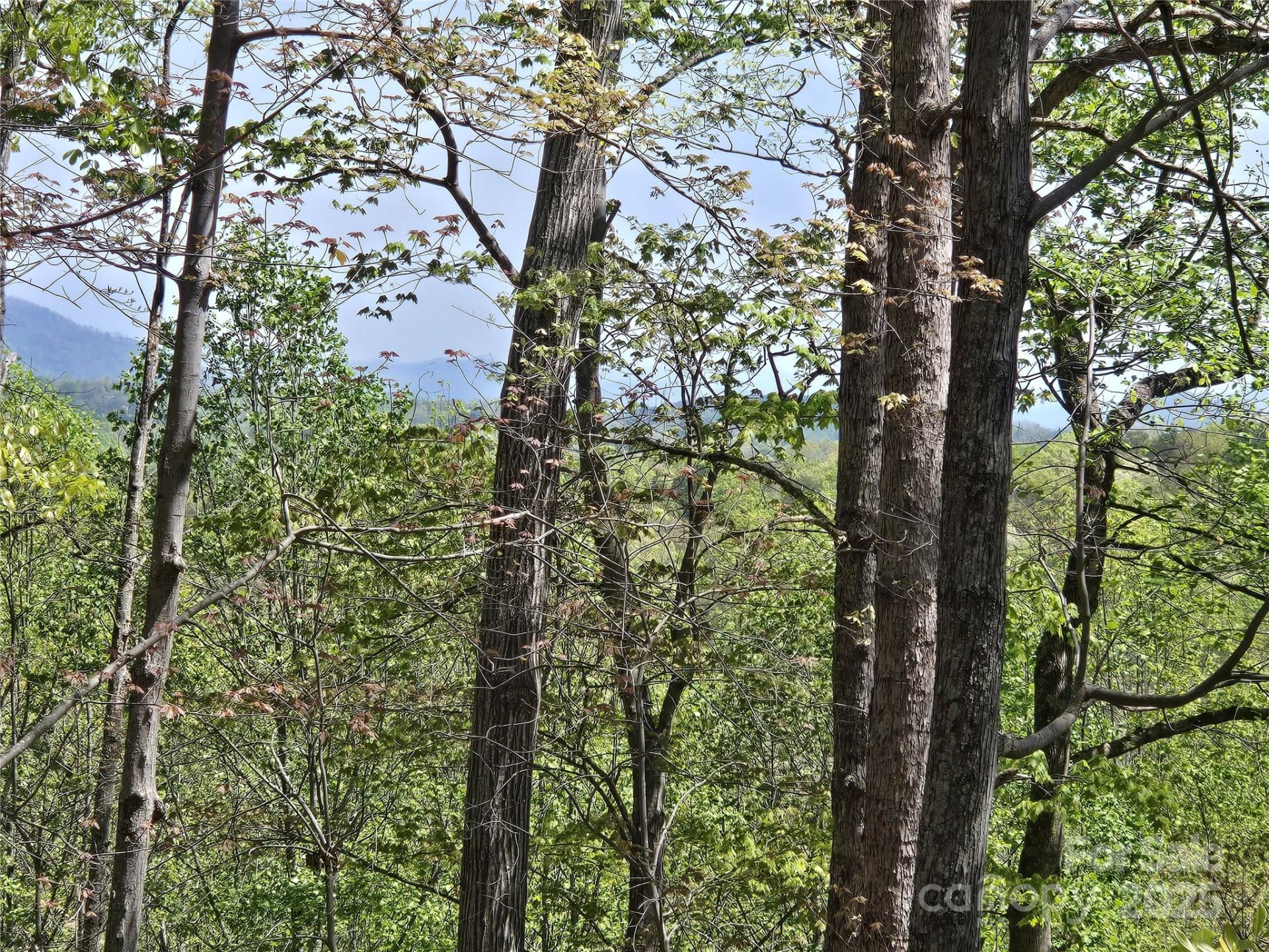 Property image 5 at Lot 36 Turkey Fall Lane, Lake Lure, NC 28746