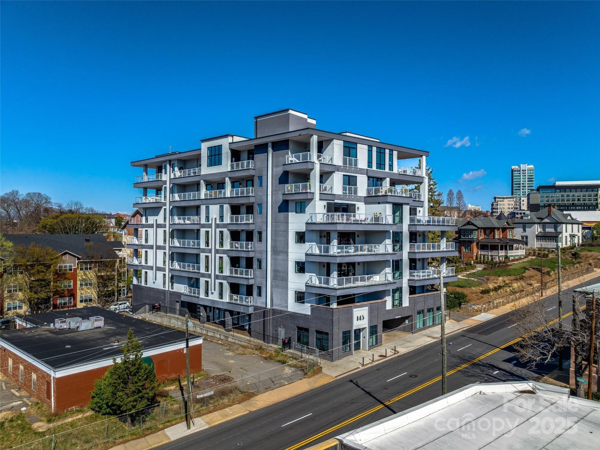 145 Biltmore Avenue Condominiums, Asheville Community
