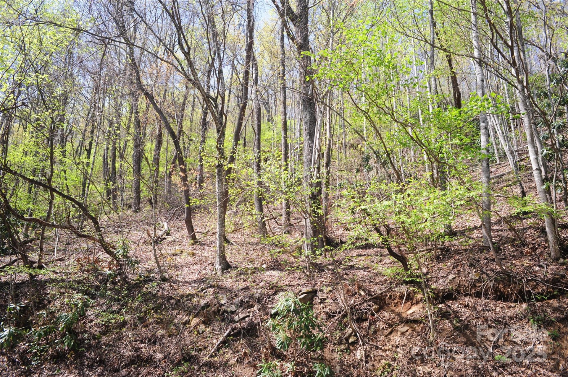 Property image 2 at 36 Great Aspen Way, Black Mountain, NC 28711
