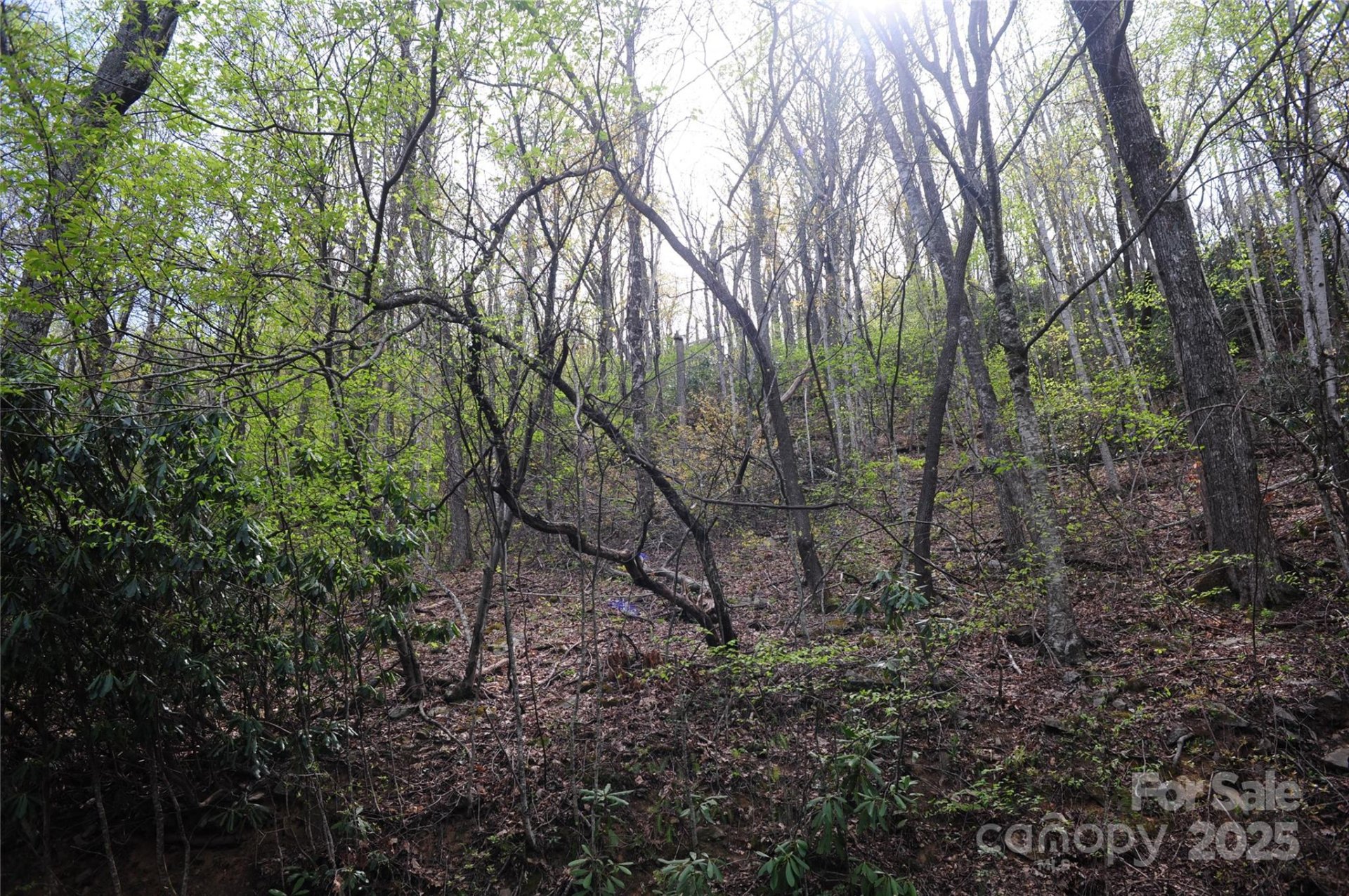 Property image 3 at 36 Great Aspen Way, Black Mountain, NC 28711
