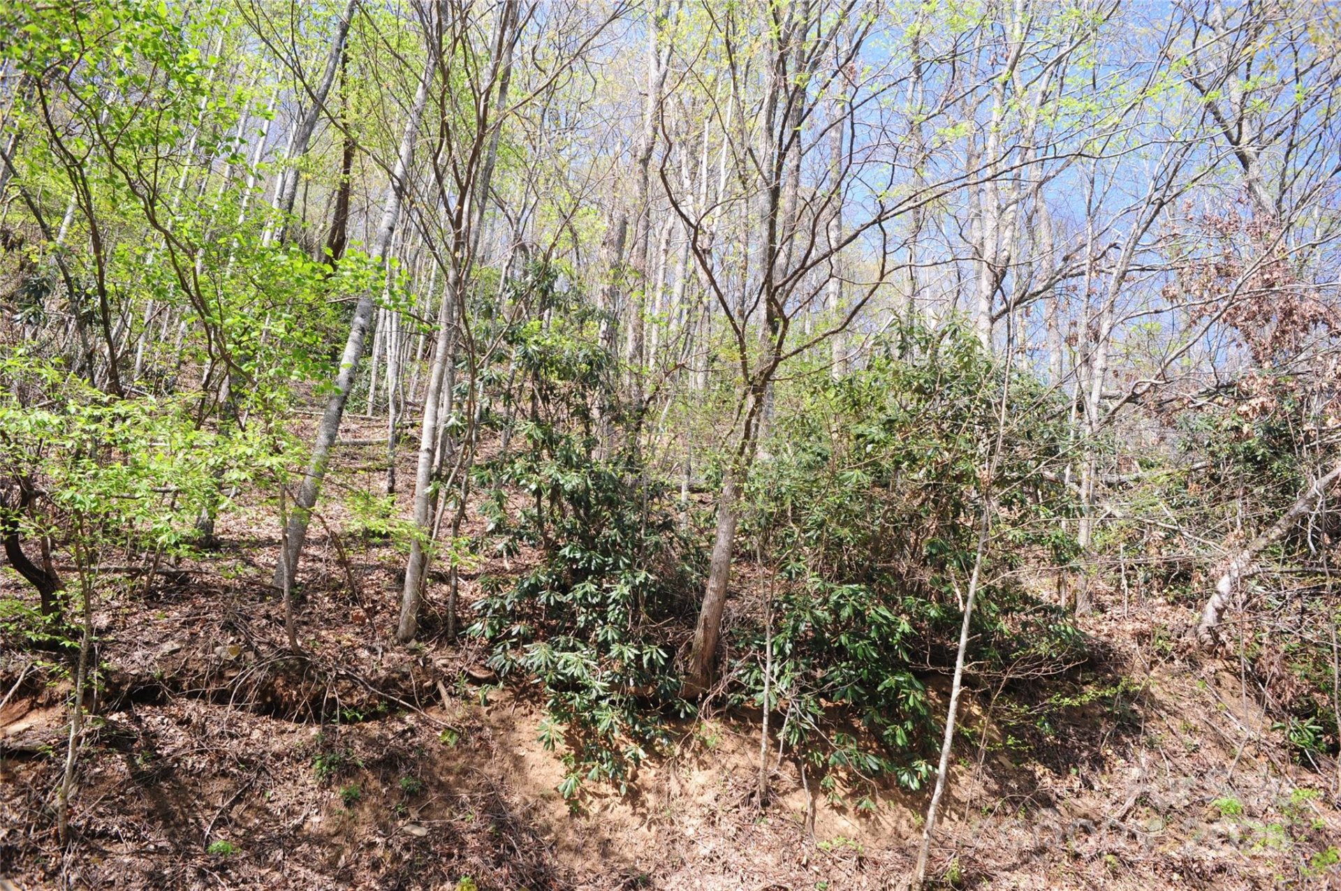 Property image 4 at 36 Great Aspen Way, Black Mountain, NC 28711