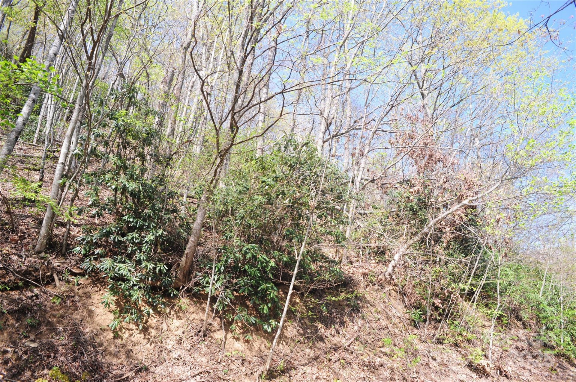 Property image 5 at 36 Great Aspen Way, Black Mountain, NC 28711