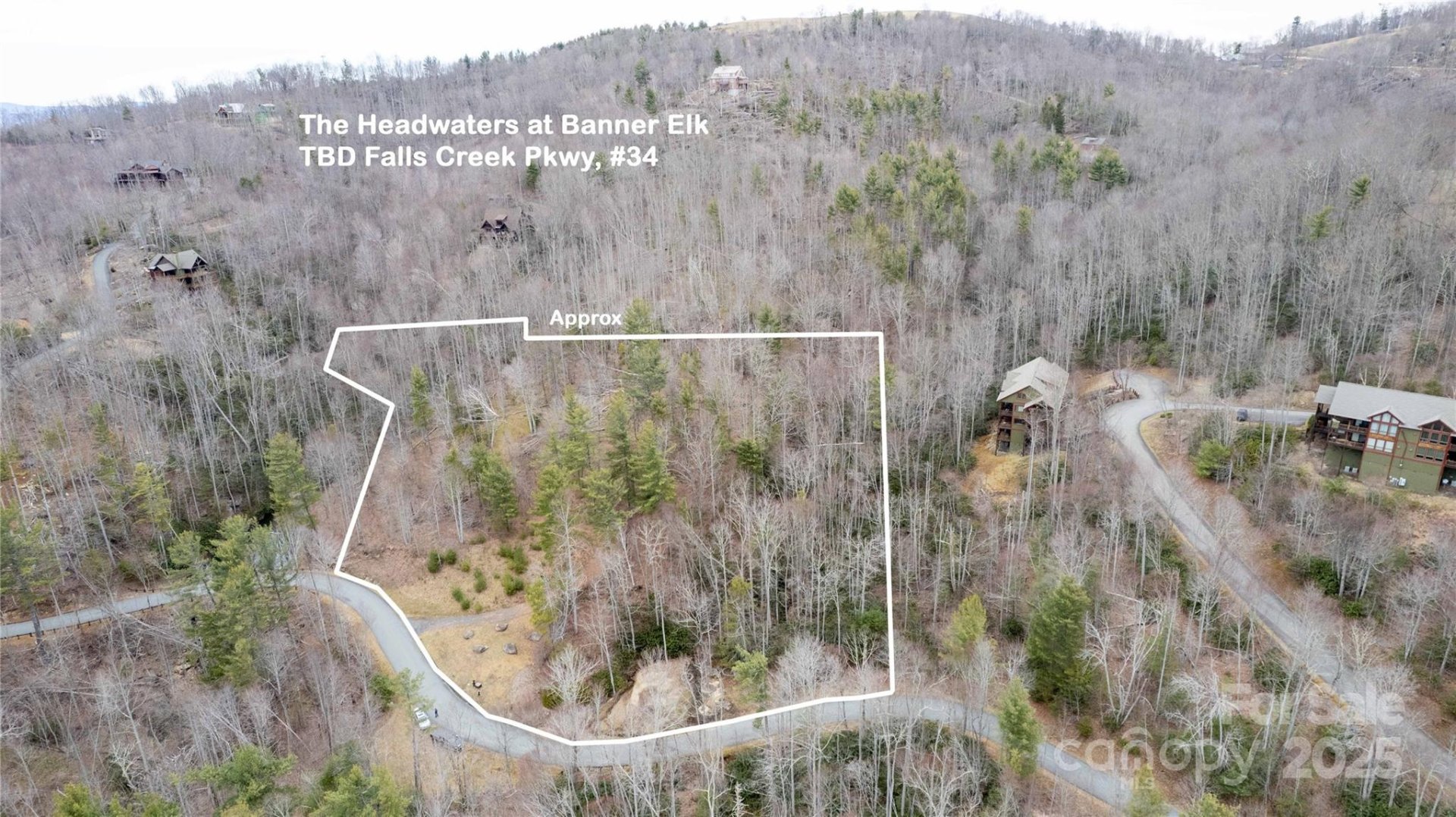 Property image 2 at Tbd Falls Creek Parkway, Elk Park, NC 28622
