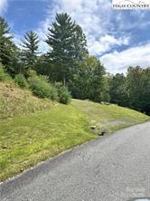 Property image 5 at Tbd Falls Creek Parkway, Elk Park, NC 28622