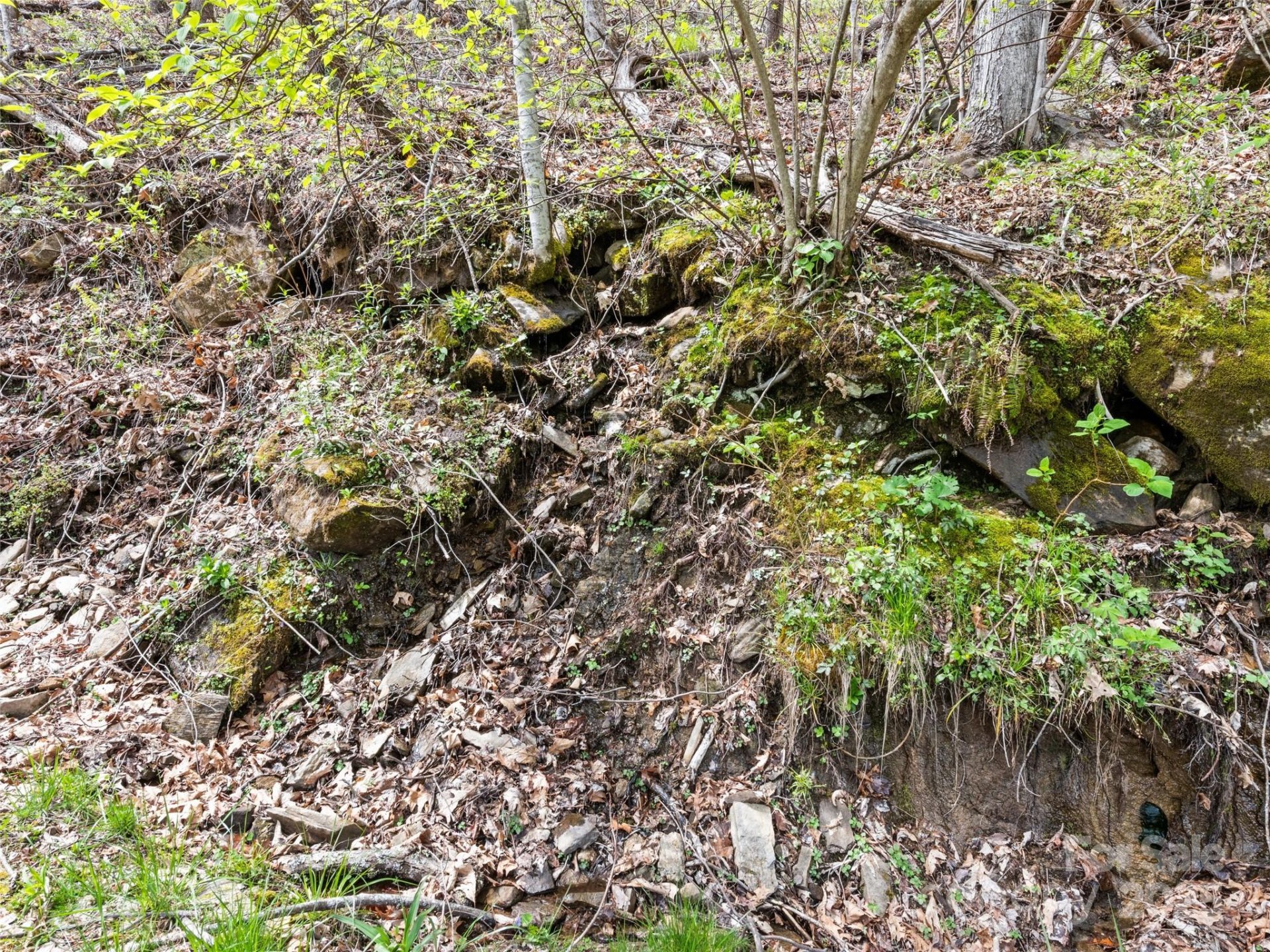 Property image 4 at 0 Laurel Ridge Drive, Maggie Valley, NC 28786