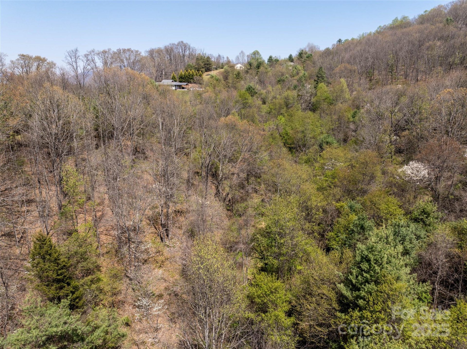 Property image 5 at Lot 42 Sunnybrook Trail, Clyde, NC 28721