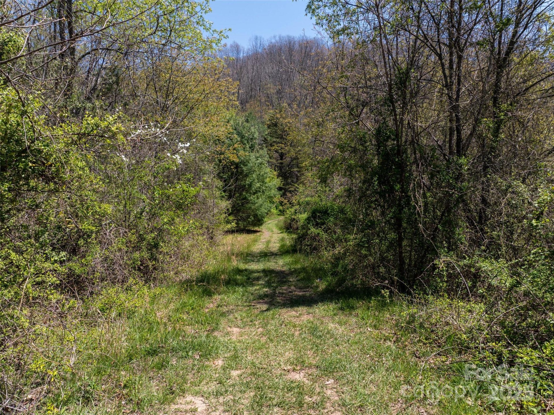 Property image 4 at Lot 43 Sunnybrook Trail, Clyde, NC 28721