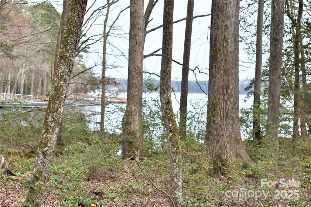 Property image 4 at 333 Pearl Bay Drive, Badin Lake, NC 28127