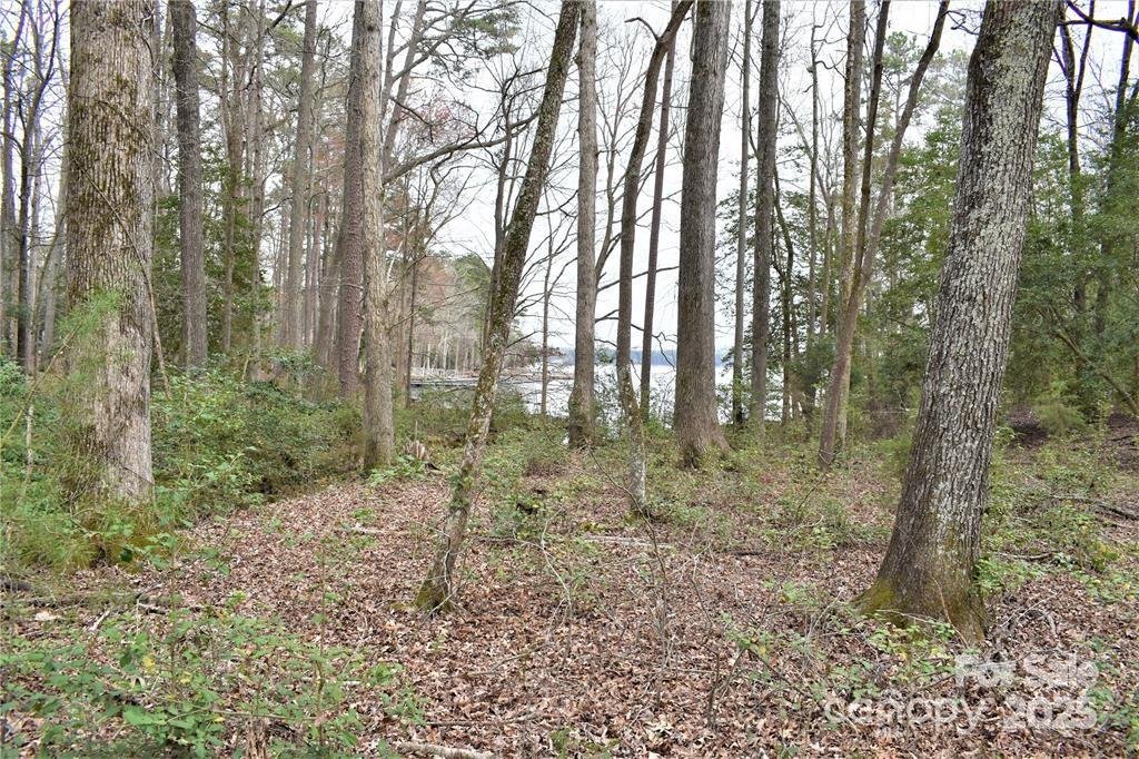 Property image 5 at 333 Pearl Bay Drive, Badin Lake, NC 28127