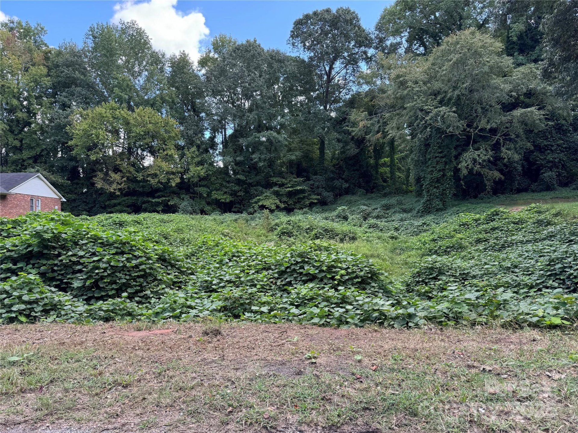 Springdale, York Community