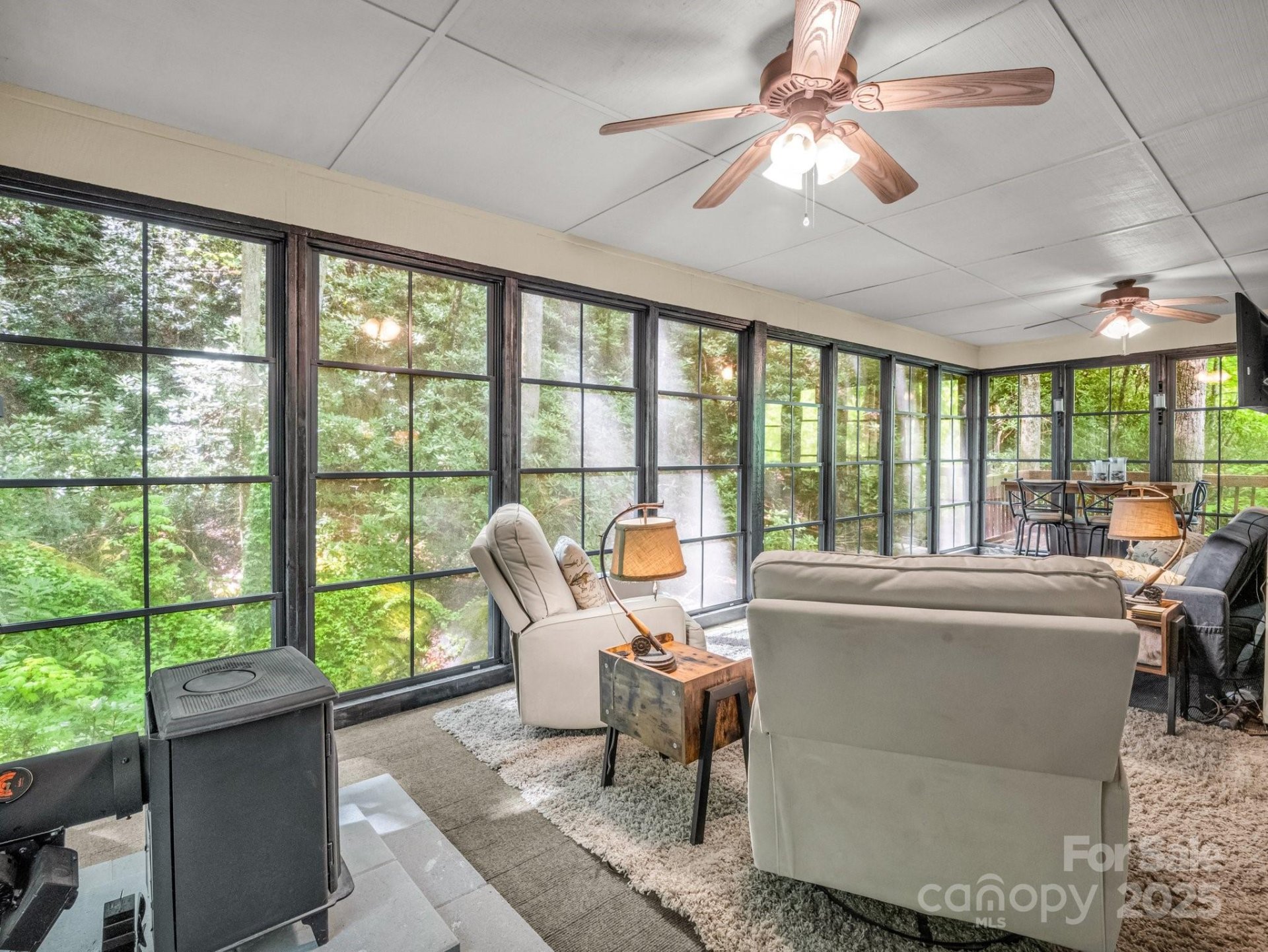 Property image 3 at 245 Chalet Road, Lake Lure, NC 28746