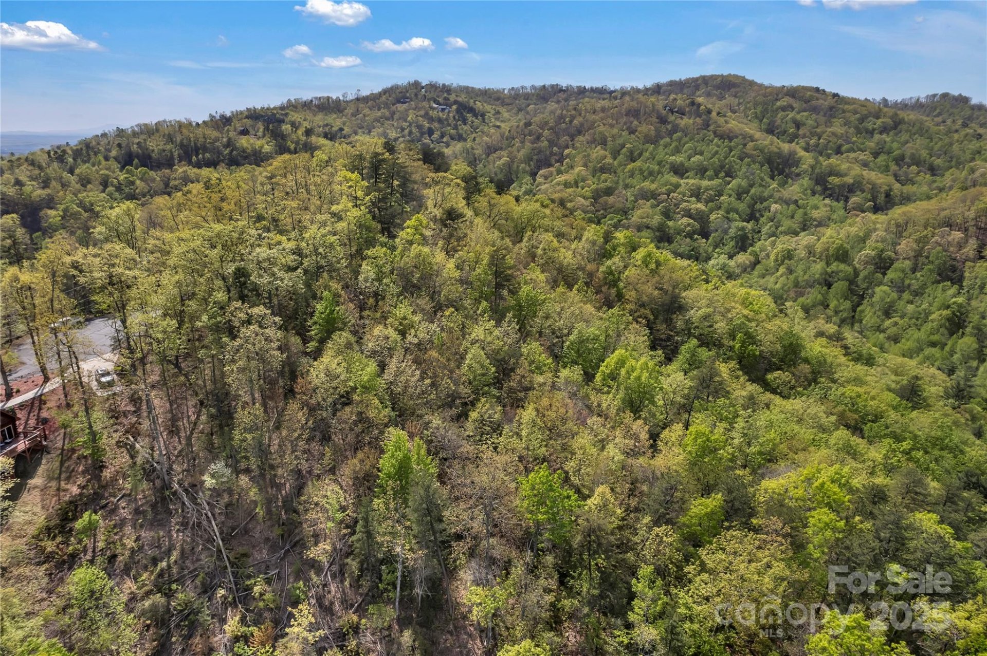 Property image 3 at 231 Brighton Drive, Bostic, NC 28018