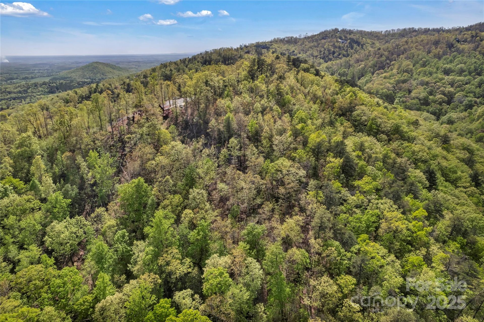 Property image 4 at 231 Brighton Drive, Bostic, NC 28018