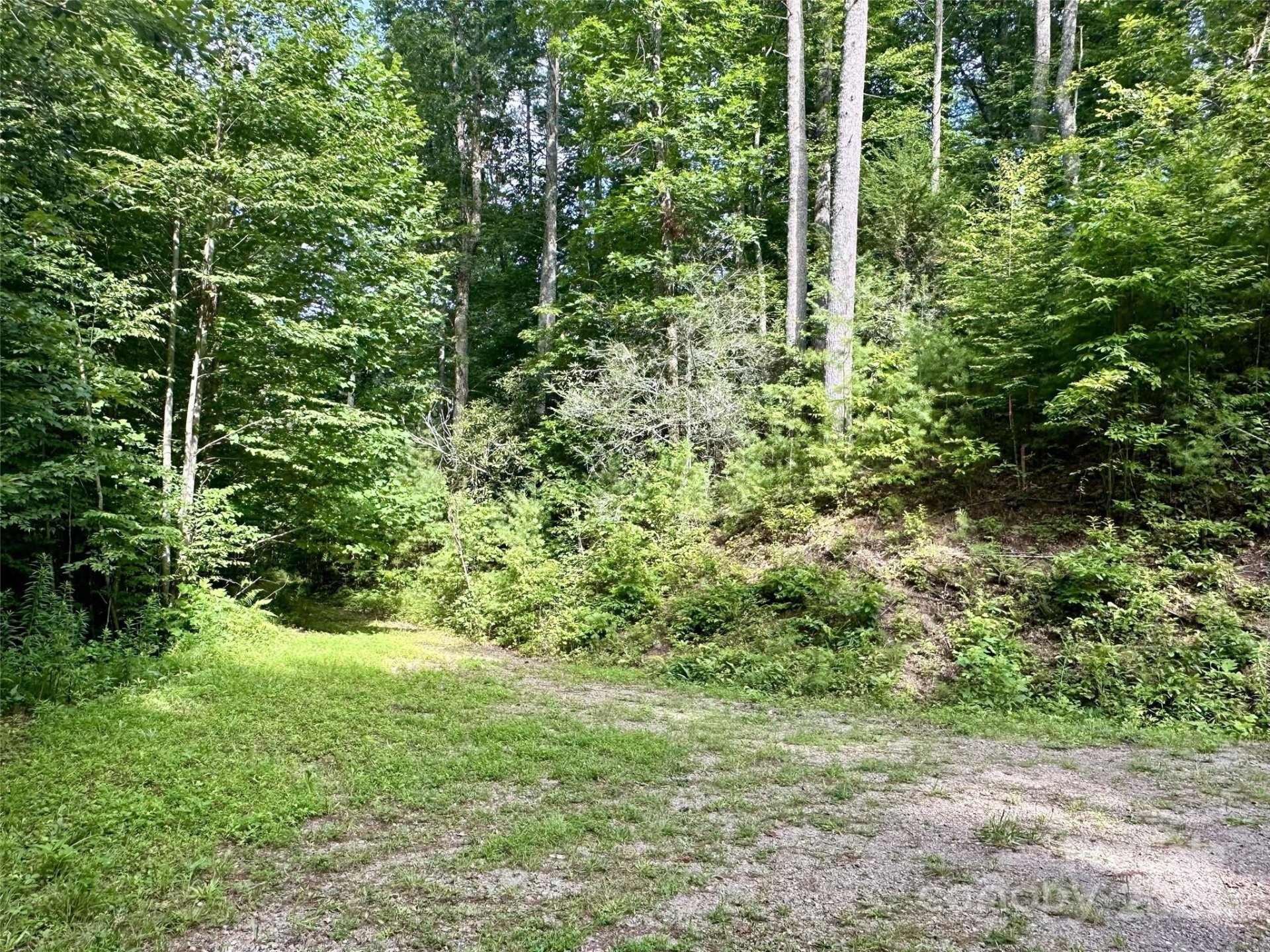 Property image 3 at 13 Wildlife Drive, Clyde, NC 28721