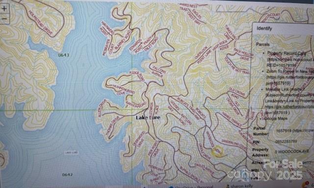 Property image 4 at 0 Woodcock Avenue, Lake Lure, NC 28746