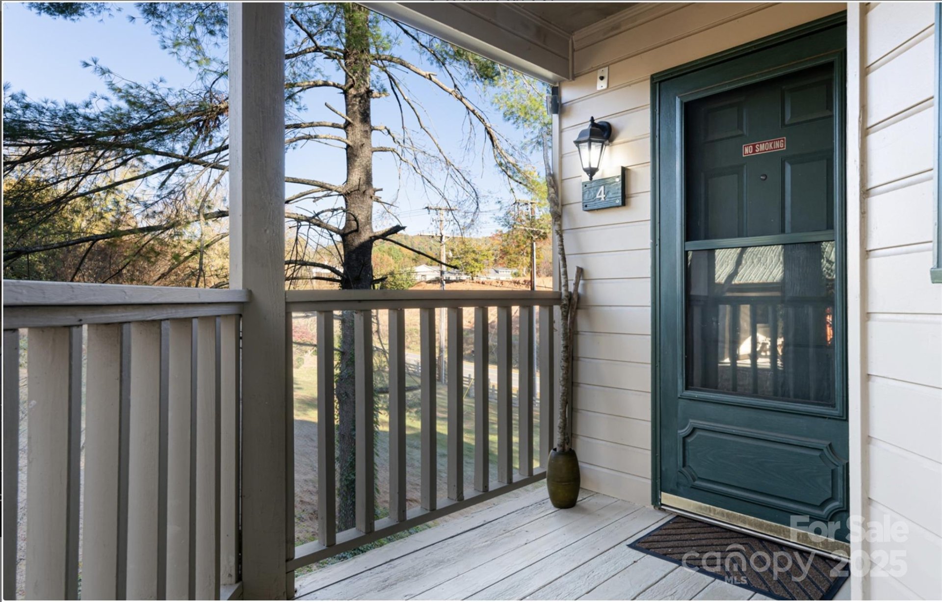 Property image 5 at 160 Whitney Boulevard, Lake Lure, NC 28746