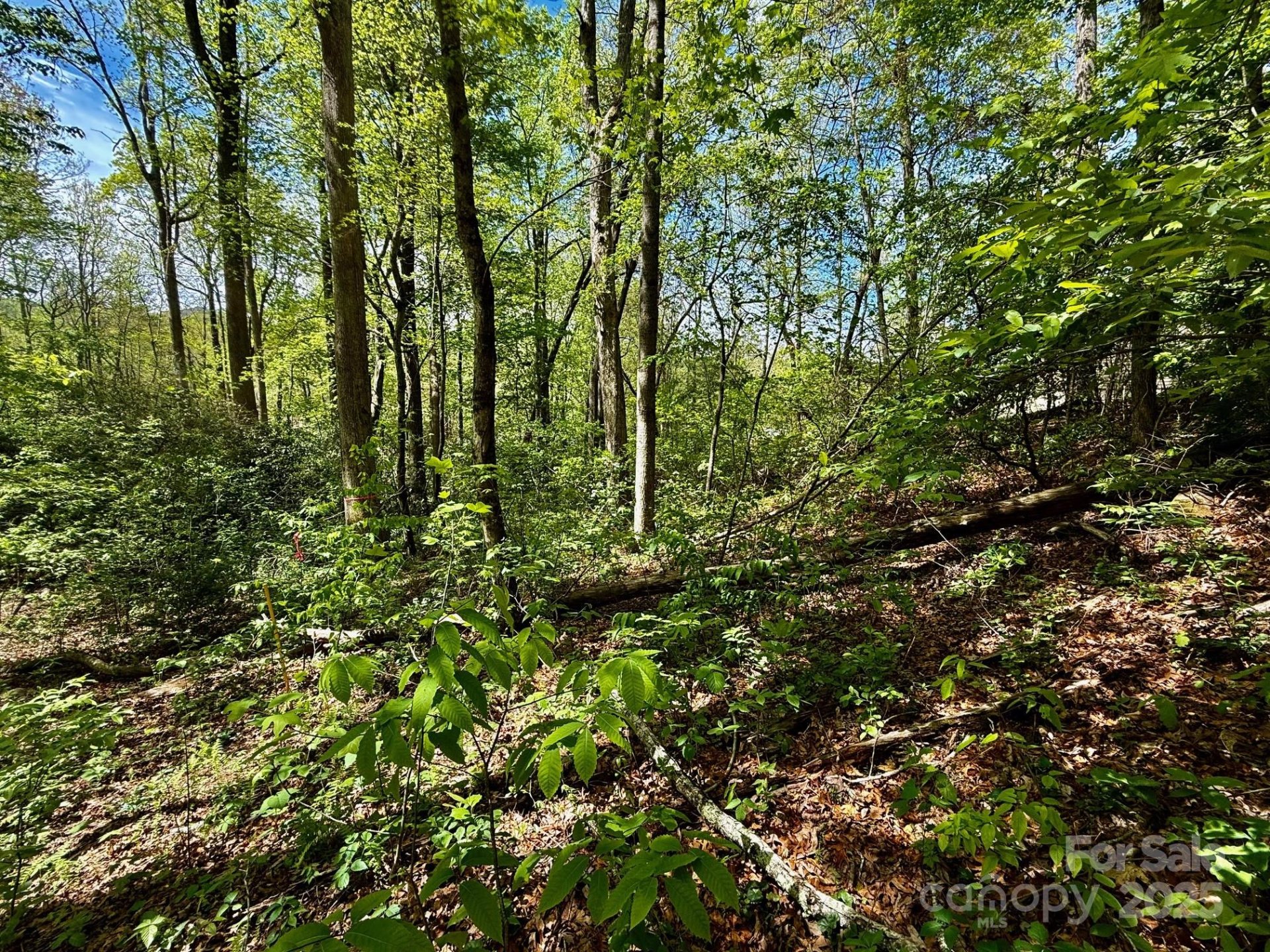 Tbd Knox Road