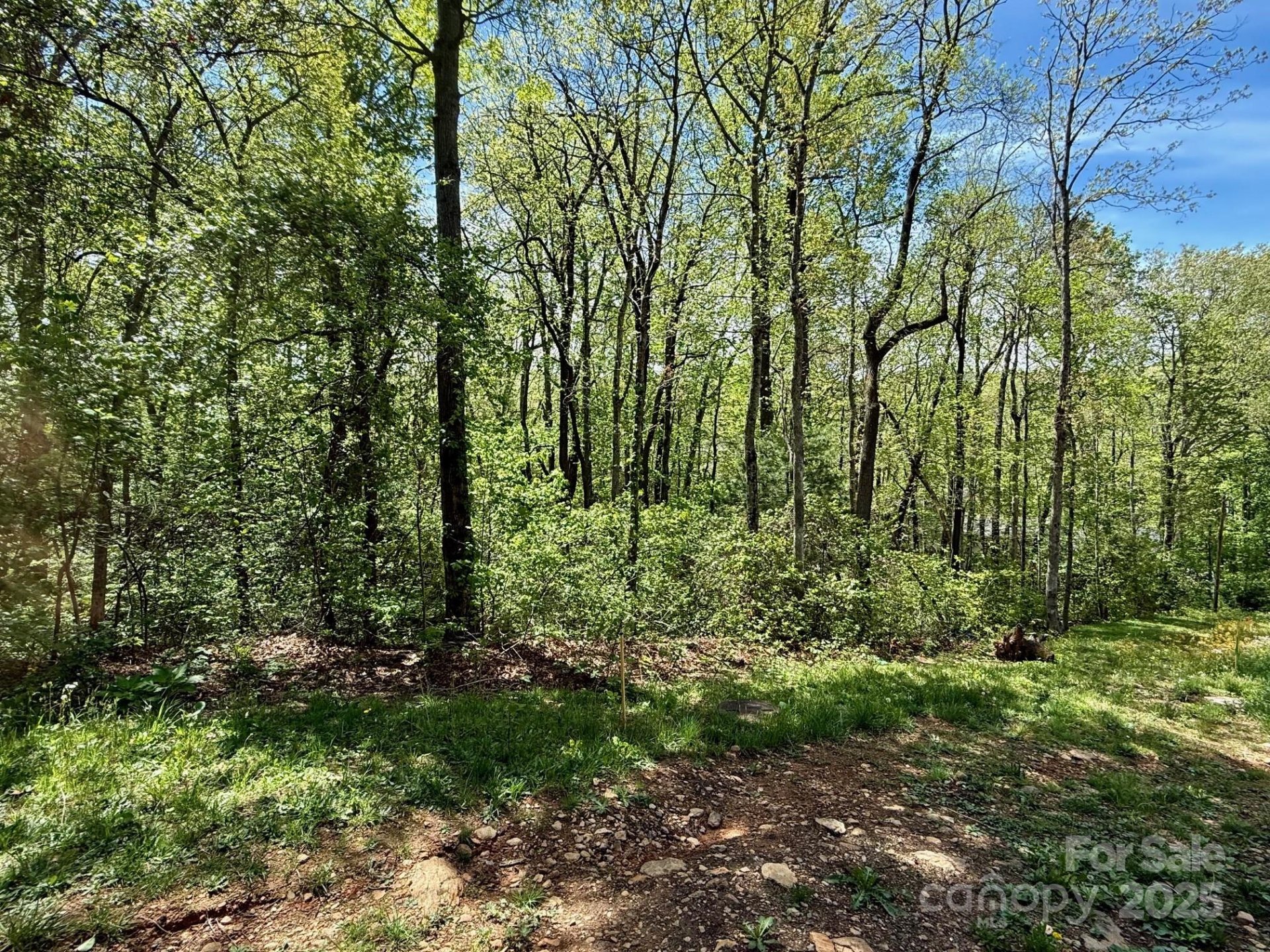 Property image 3 at Tbd Knox Road, Black Mountain, NC 28711
