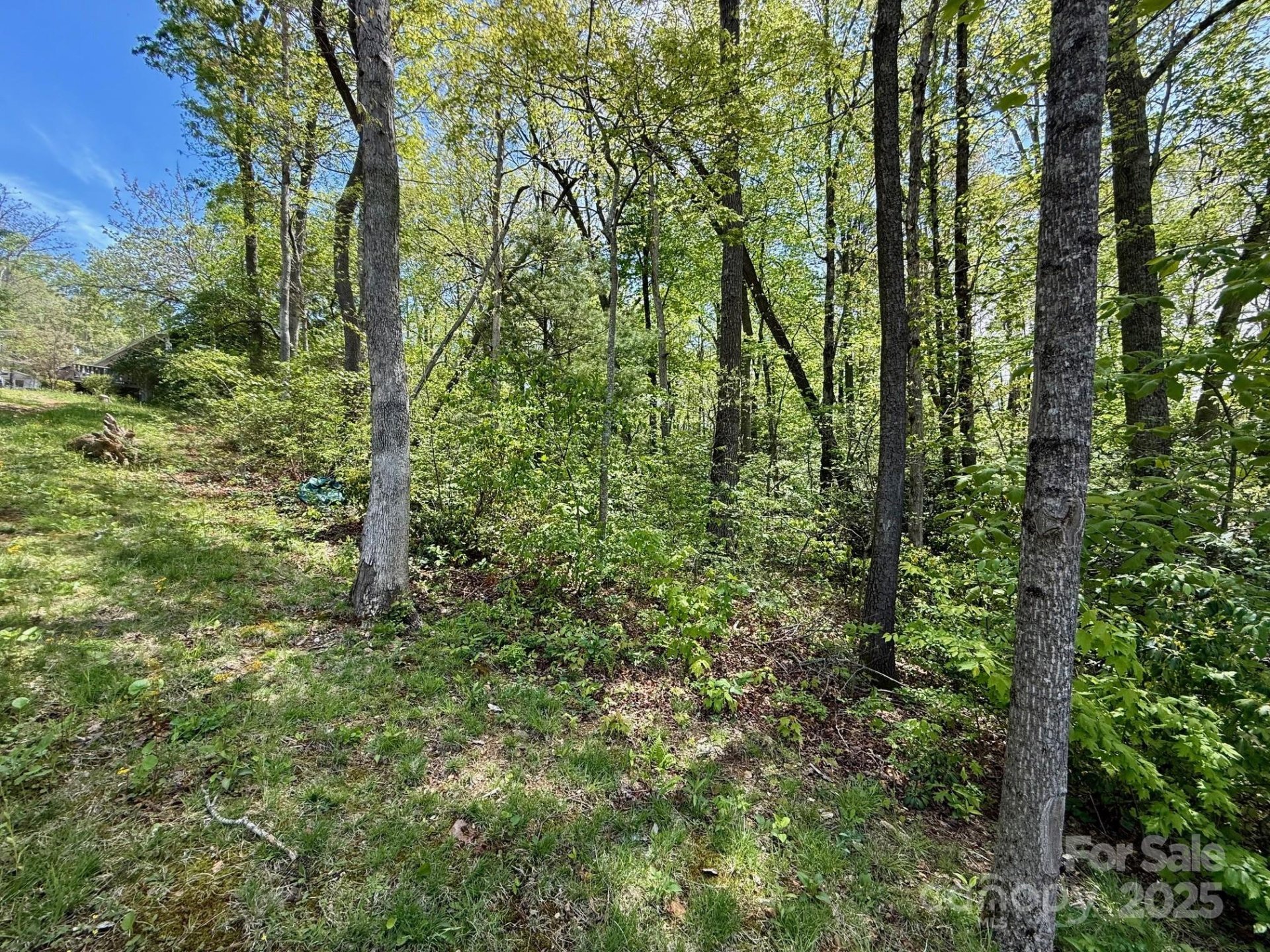 Property image 4 at Tbd Knox Road, Black Mountain, NC 28711