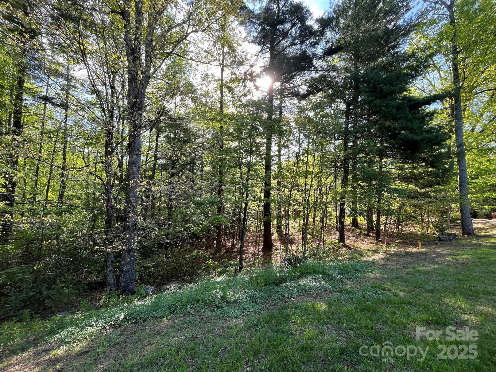 Property image 2 at 305 Freedom Trail Court, Zirconia, NC 28790