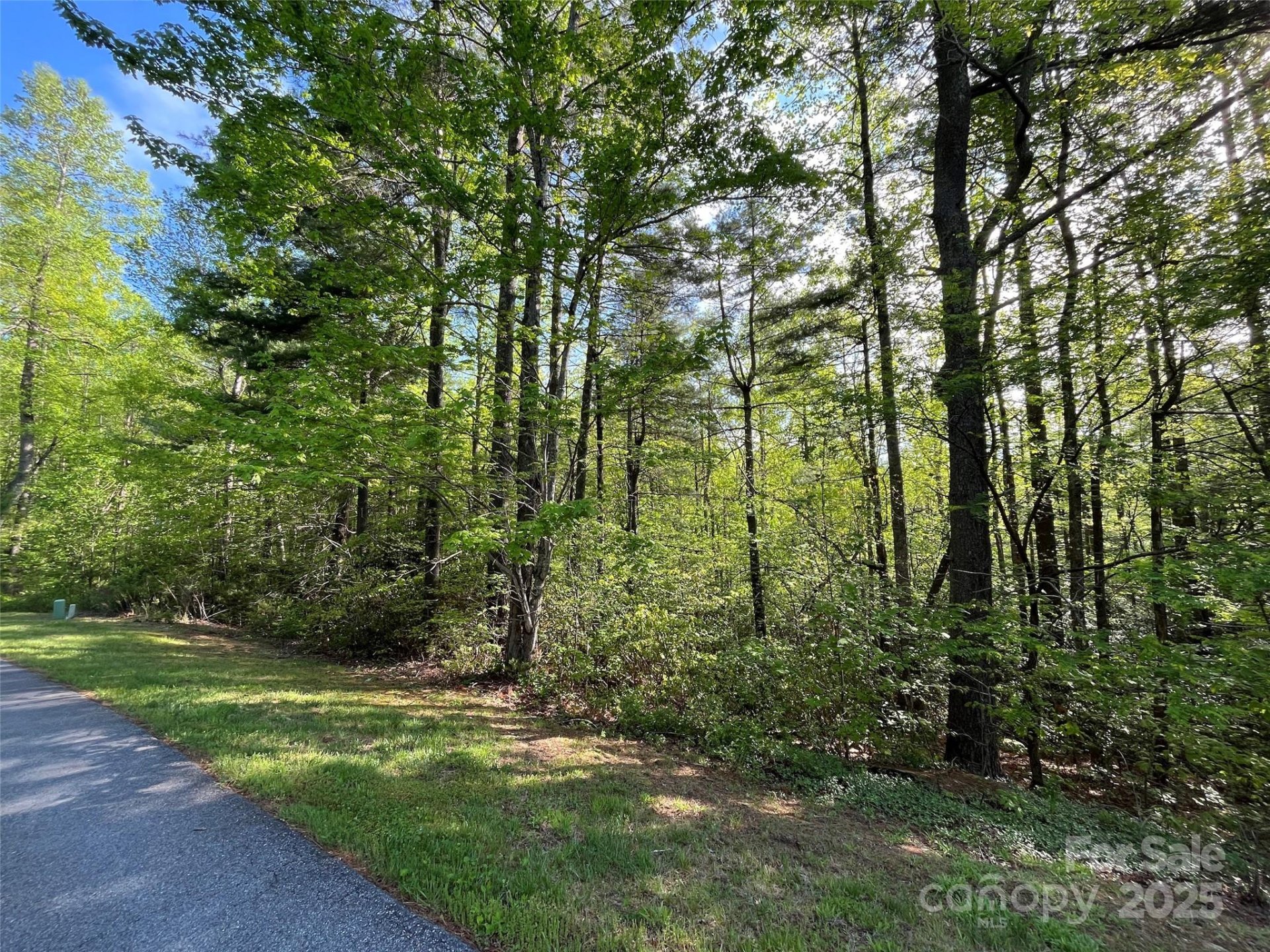 Property image 3 at 305 Freedom Trail Court, Zirconia, NC 28790