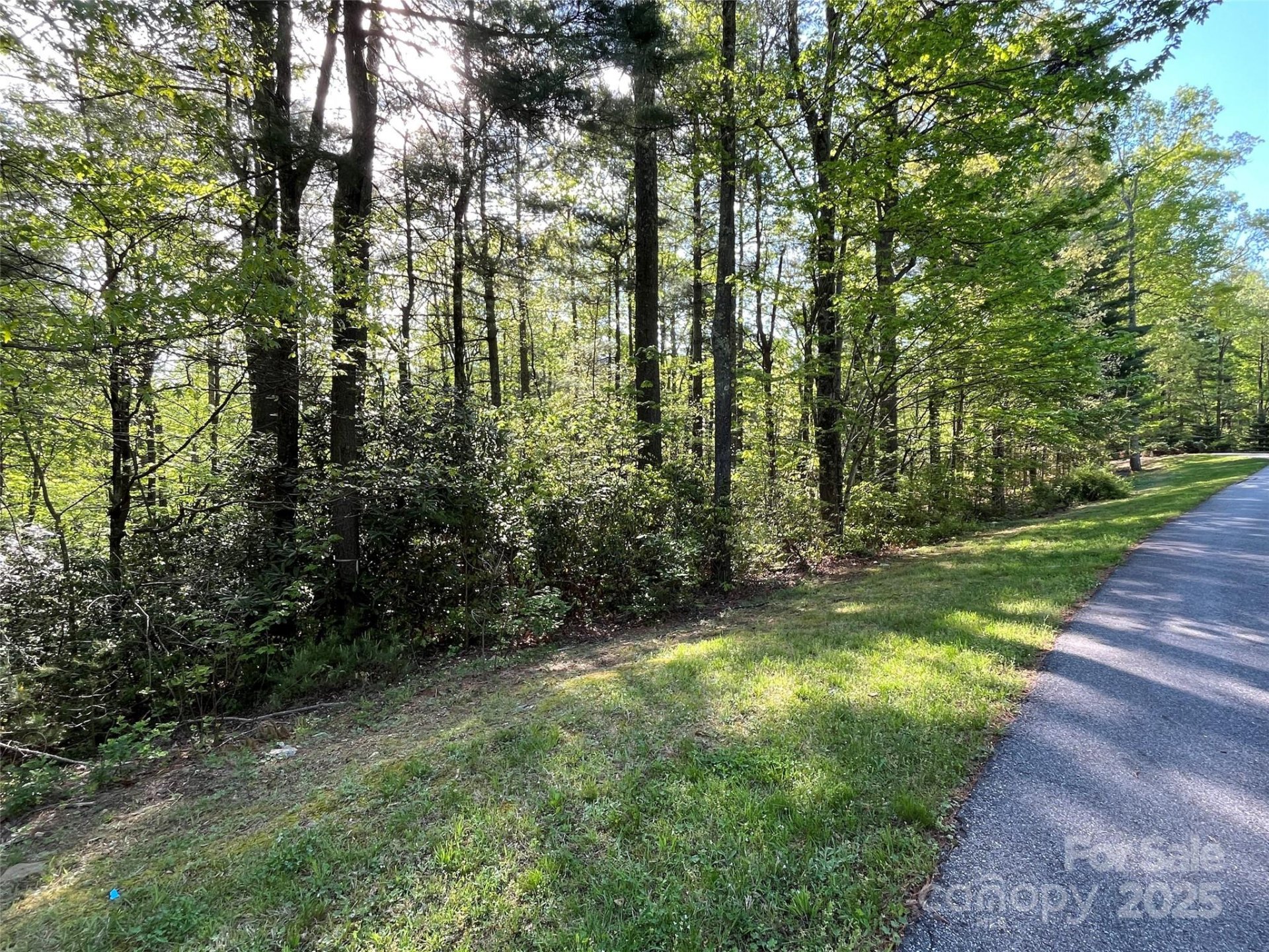 Property image 5 at 305 Freedom Trail Court, Zirconia, NC 28790