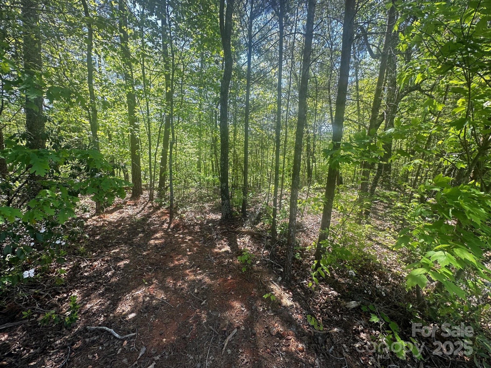 Property image 5 at 0000 Nors Way, Lake Lure, NC 28746
