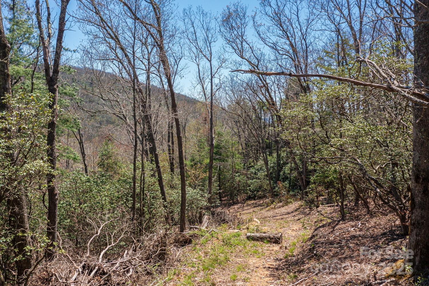 Property image 3 at 99999 Fairview Forest Drive, Fairview, NC 28730