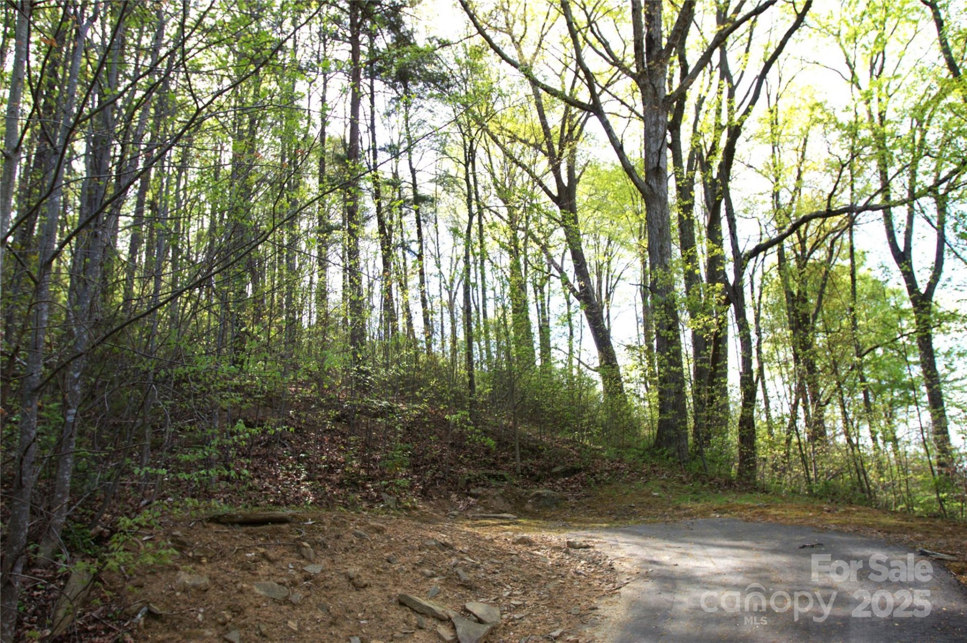 Property image 1 at 58 Ashewood Mountain Way, Candler, NC 28715