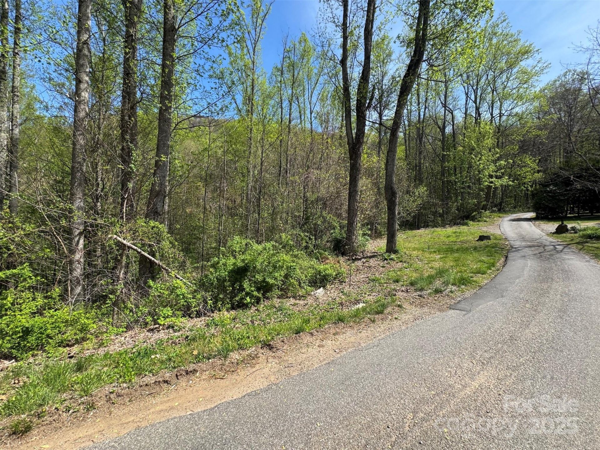 Property image 3 at Tbd B Browning Branch Road, Waynesville, NC 28786