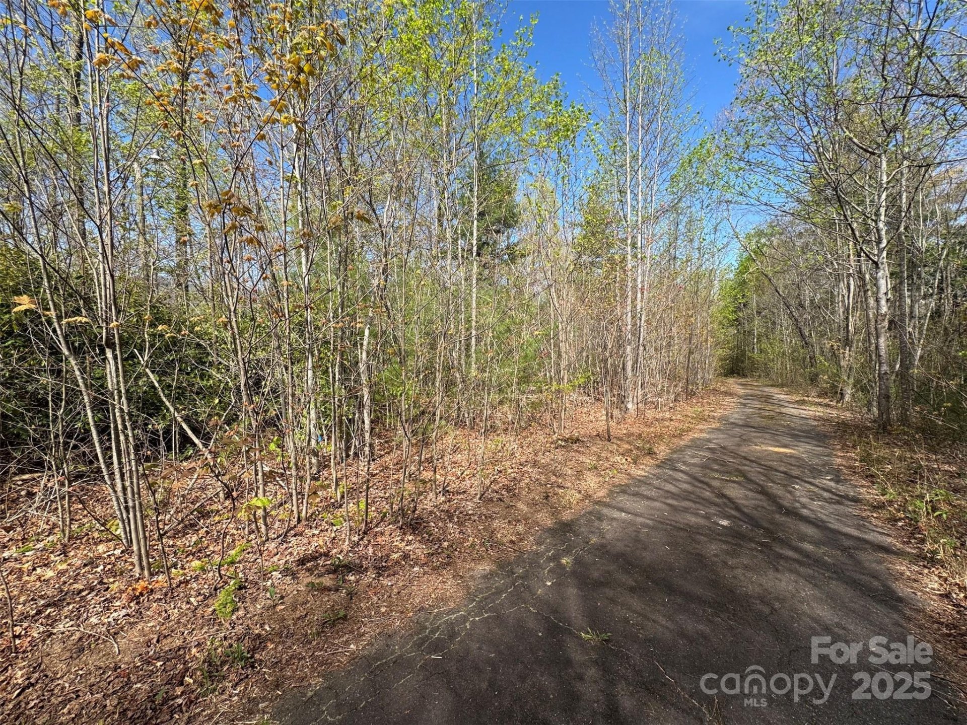 Property image 3 at Tbd D Chestnut Walk Drive, Waynesville, NC 28786