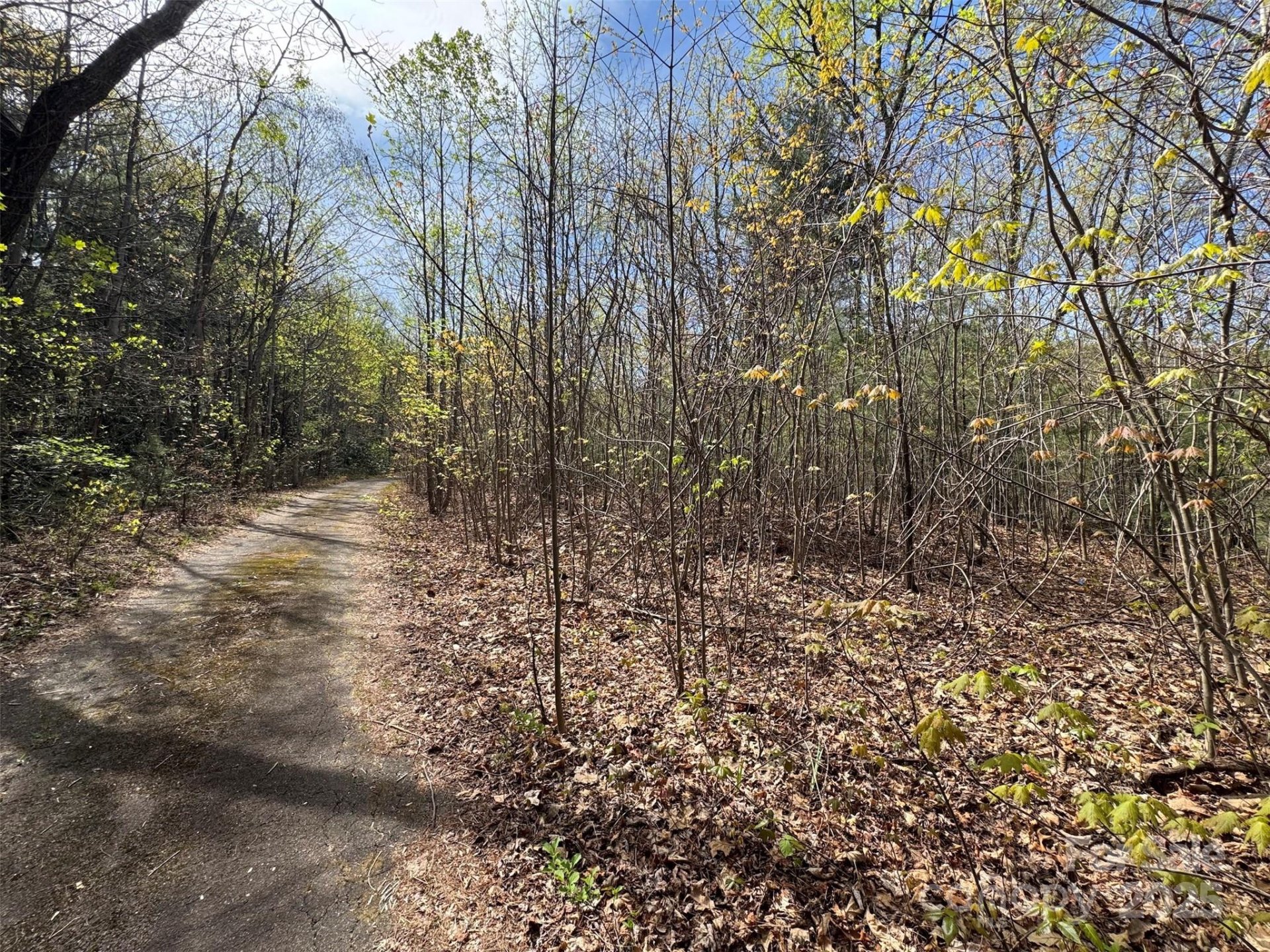 Property image 4 at Tbd D Chestnut Walk Drive, Waynesville, NC 28786