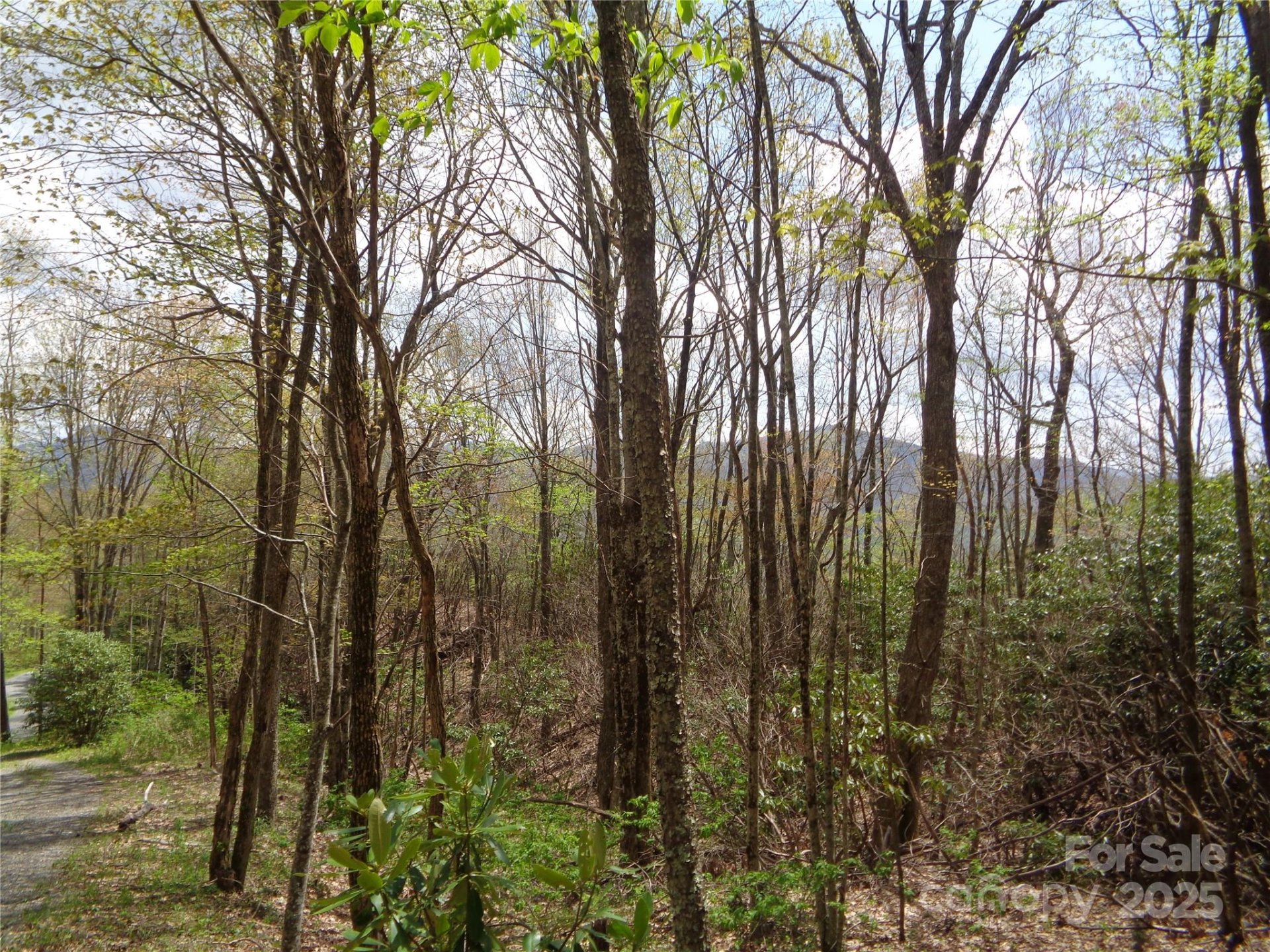 Property image 2 at 00 Bent Tree Road, Maggie Valley, NC 28751