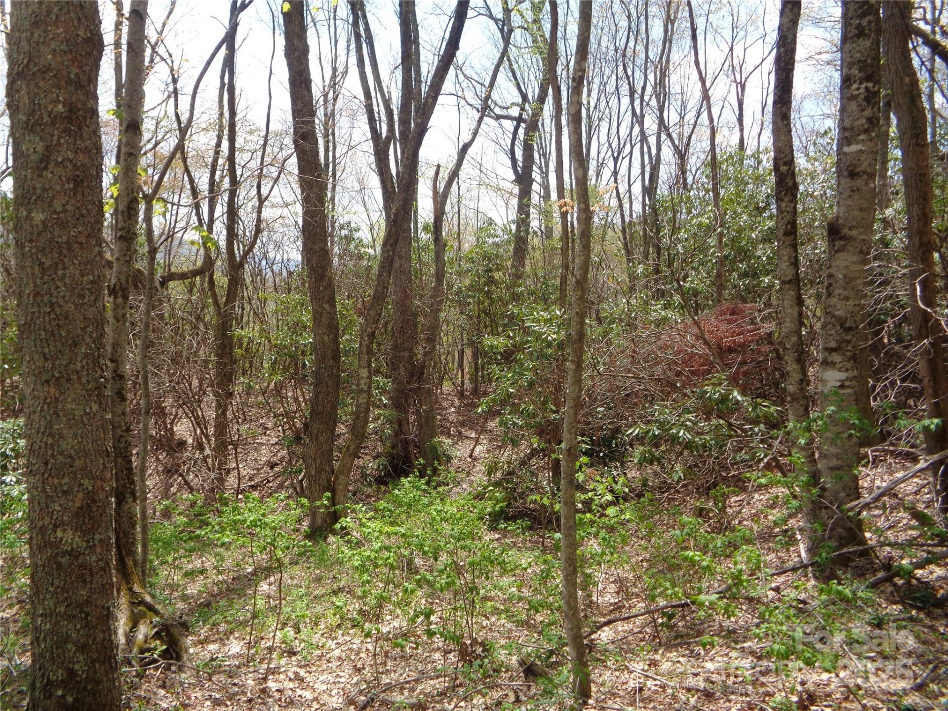 Property image 3 at 00 Bent Tree Road, Maggie Valley, NC 28751