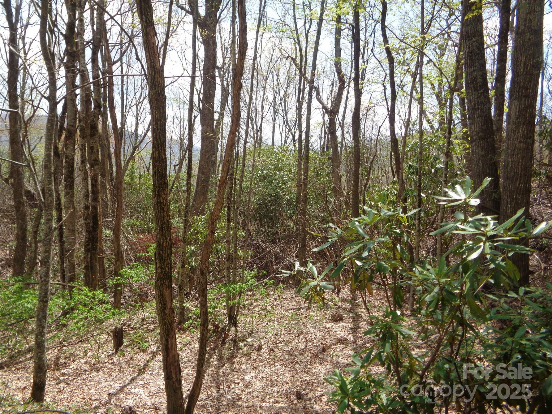 Property image 4 at 00 Bent Tree Road, Maggie Valley, NC 28751
