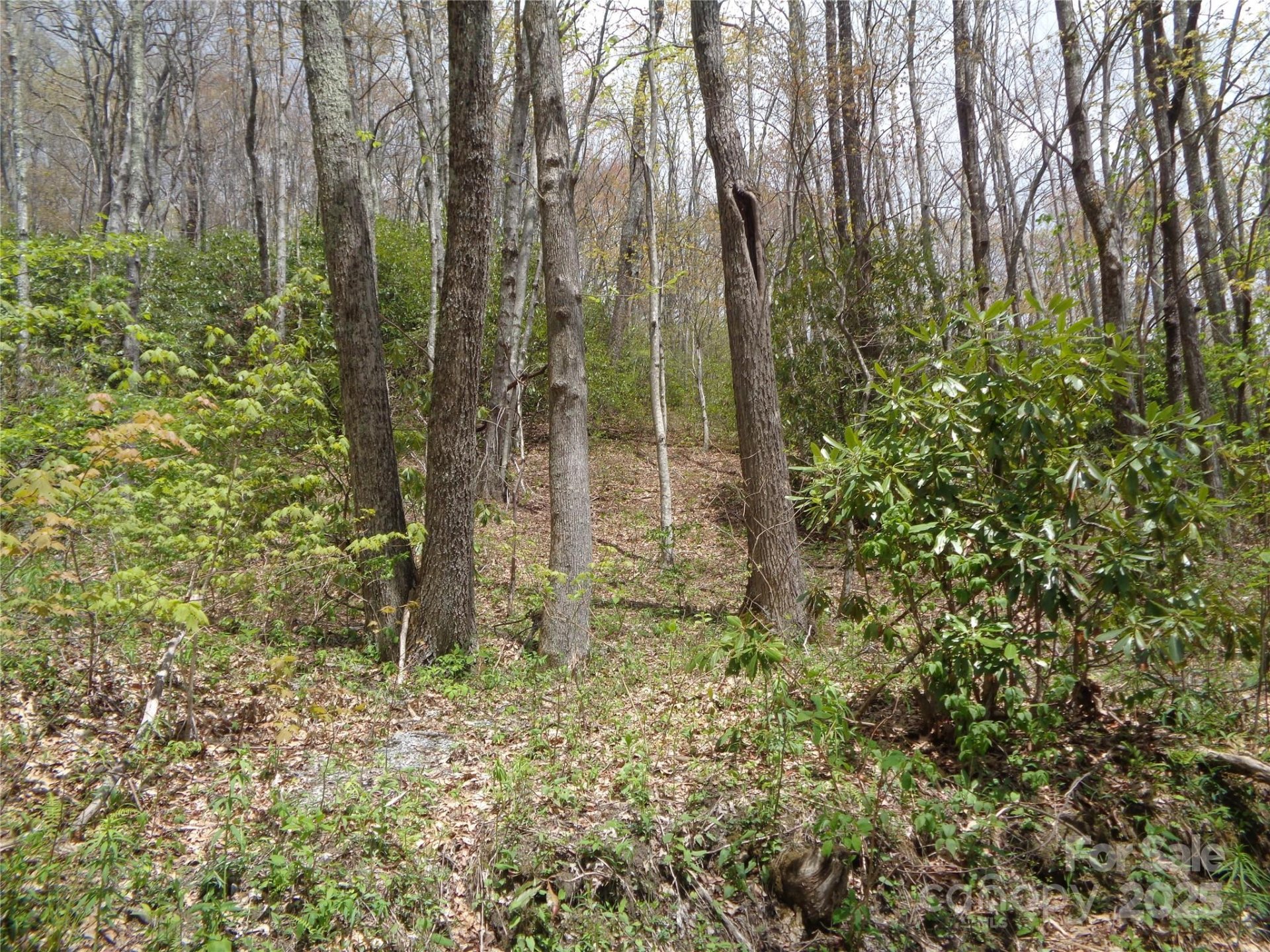 Property image 5 at 00 Bent Tree Road, Maggie Valley, NC 28751