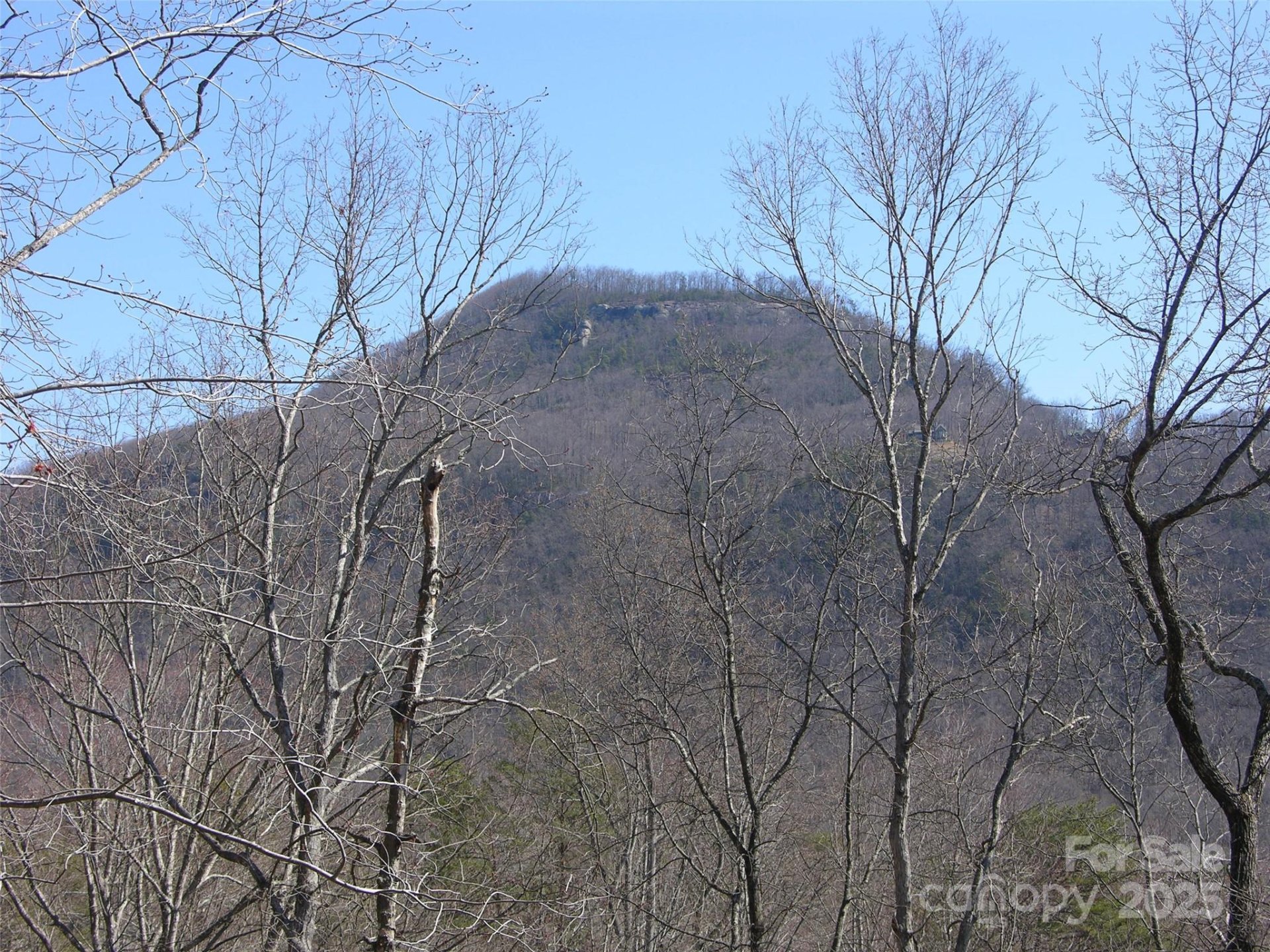 Property image 5 at 0 Roundabout Road, Lake Lure, NC 28746