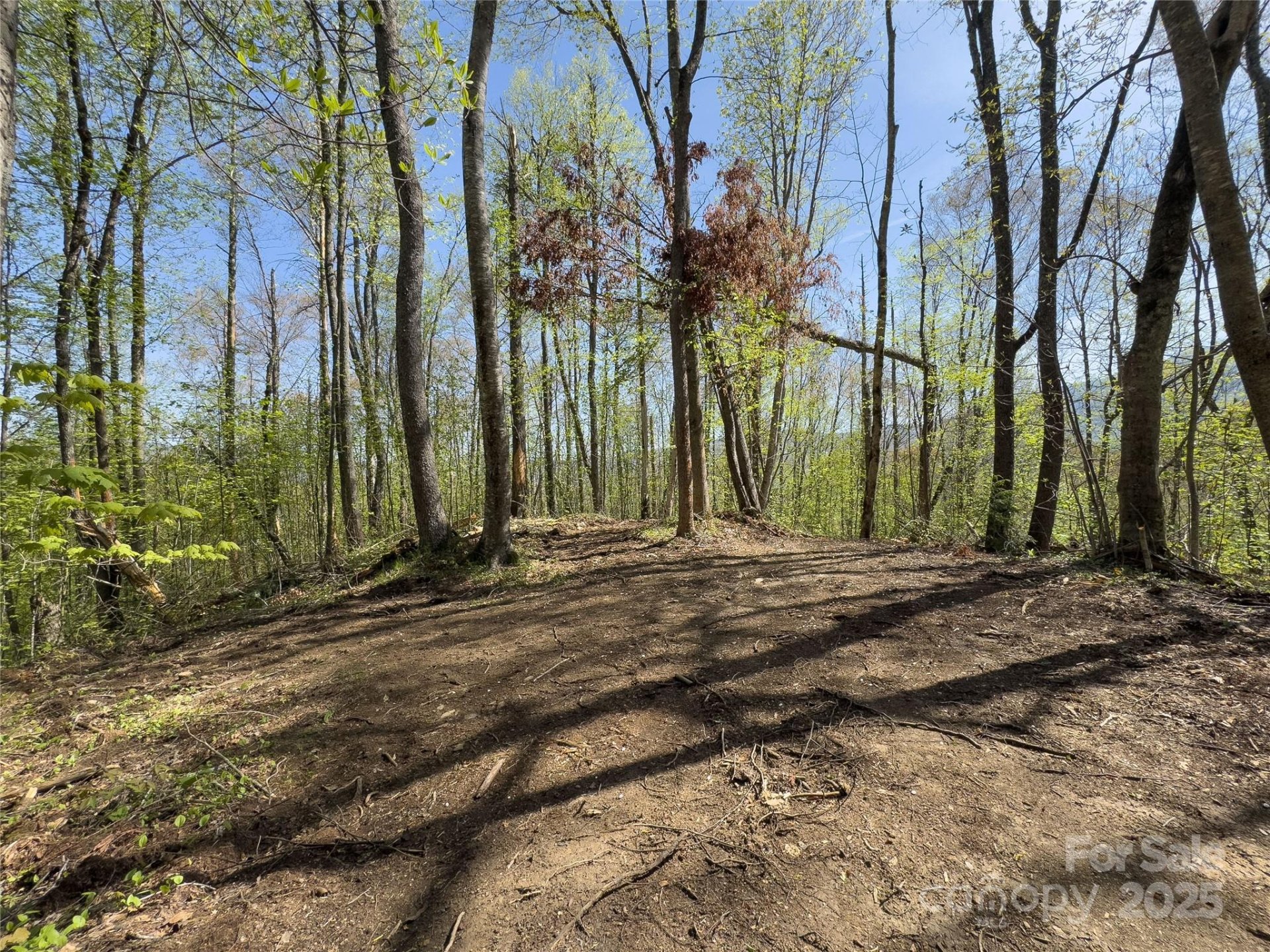 Property at Lot 64 Big Springs Trail, Qualla, NC 28719