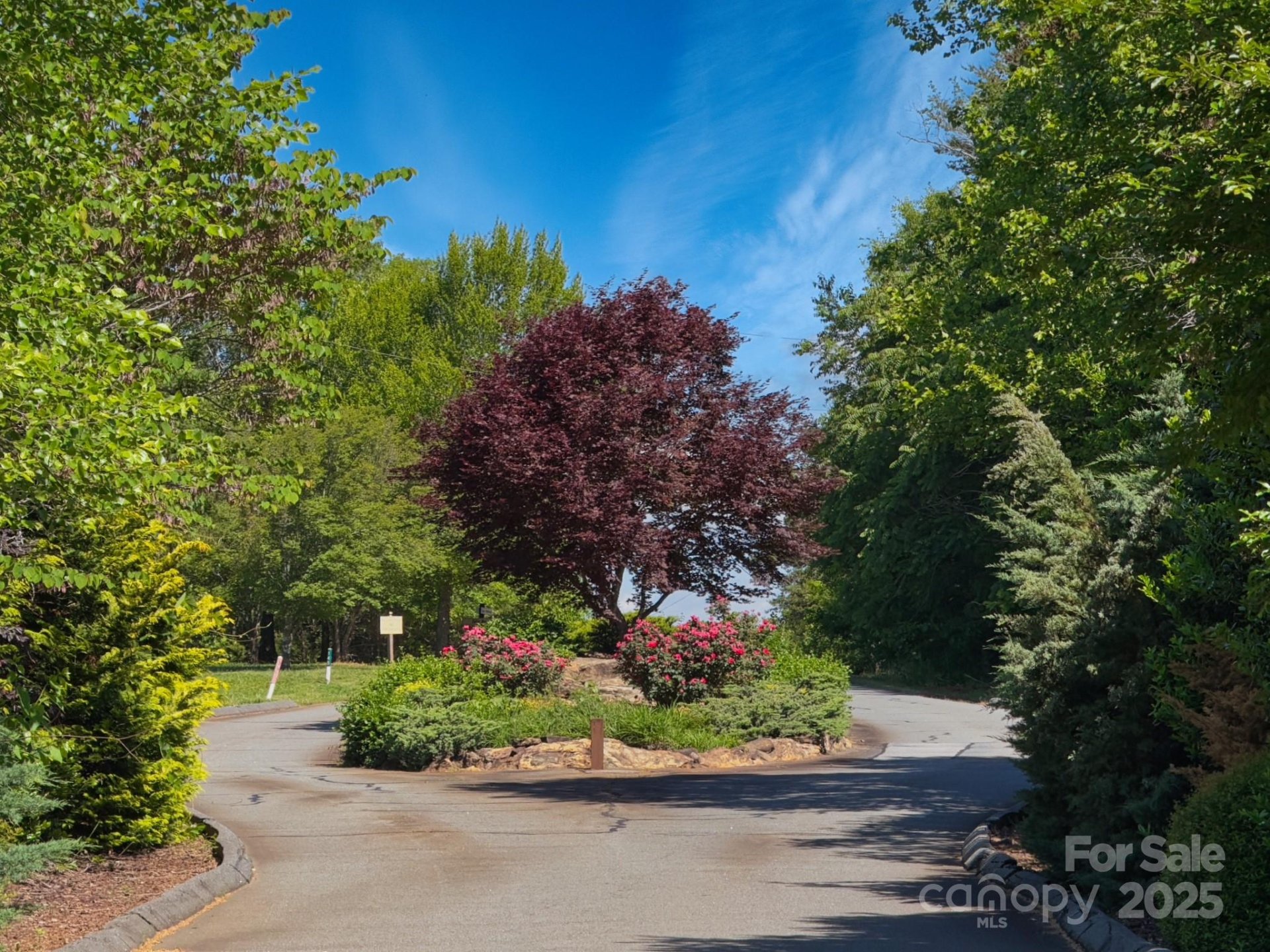 Property image 1 at 0 Cross Creek Drive, Rutherfordton, NC 28139