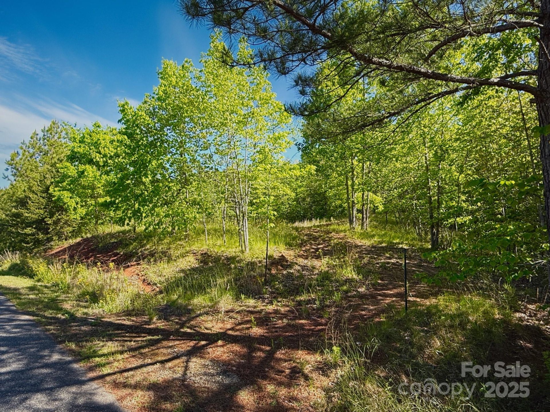 Property image 2 at 0 Cross Creek Drive, Rutherfordton, NC 28139