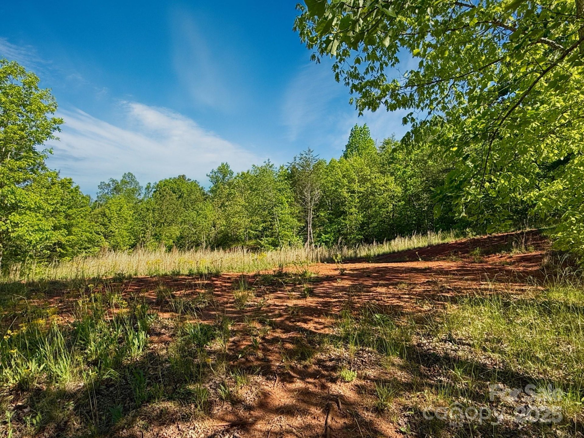 Property image 3 at 0 Cross Creek Drive, Rutherfordton, NC 28139