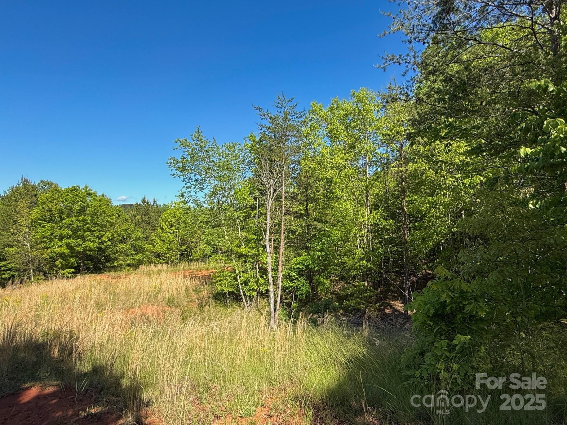 Property image 4 at 0 Cross Creek Drive, Rutherfordton, NC 28139