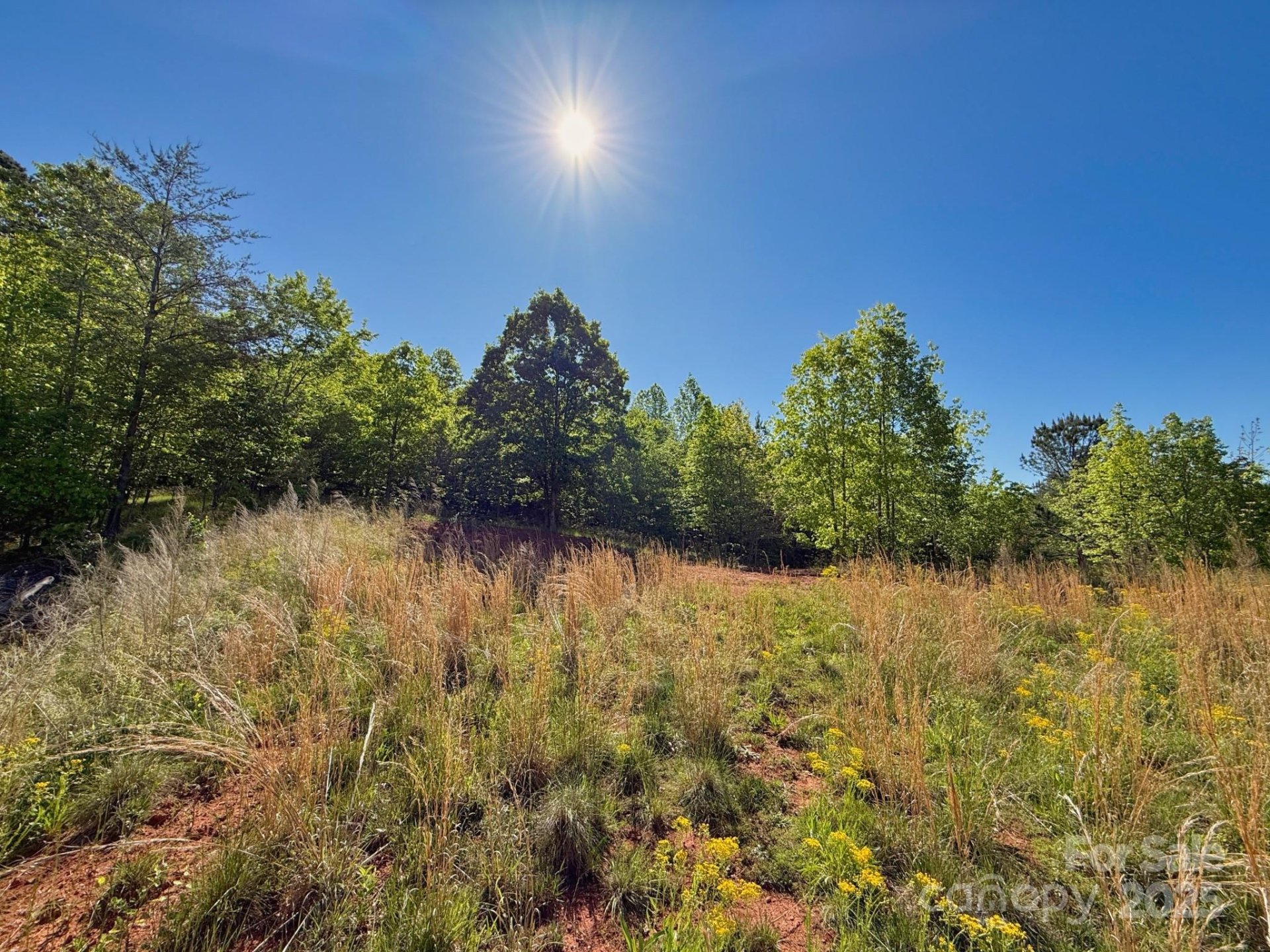 Property image 5 at 0 Cross Creek Drive, Rutherfordton, NC 28139